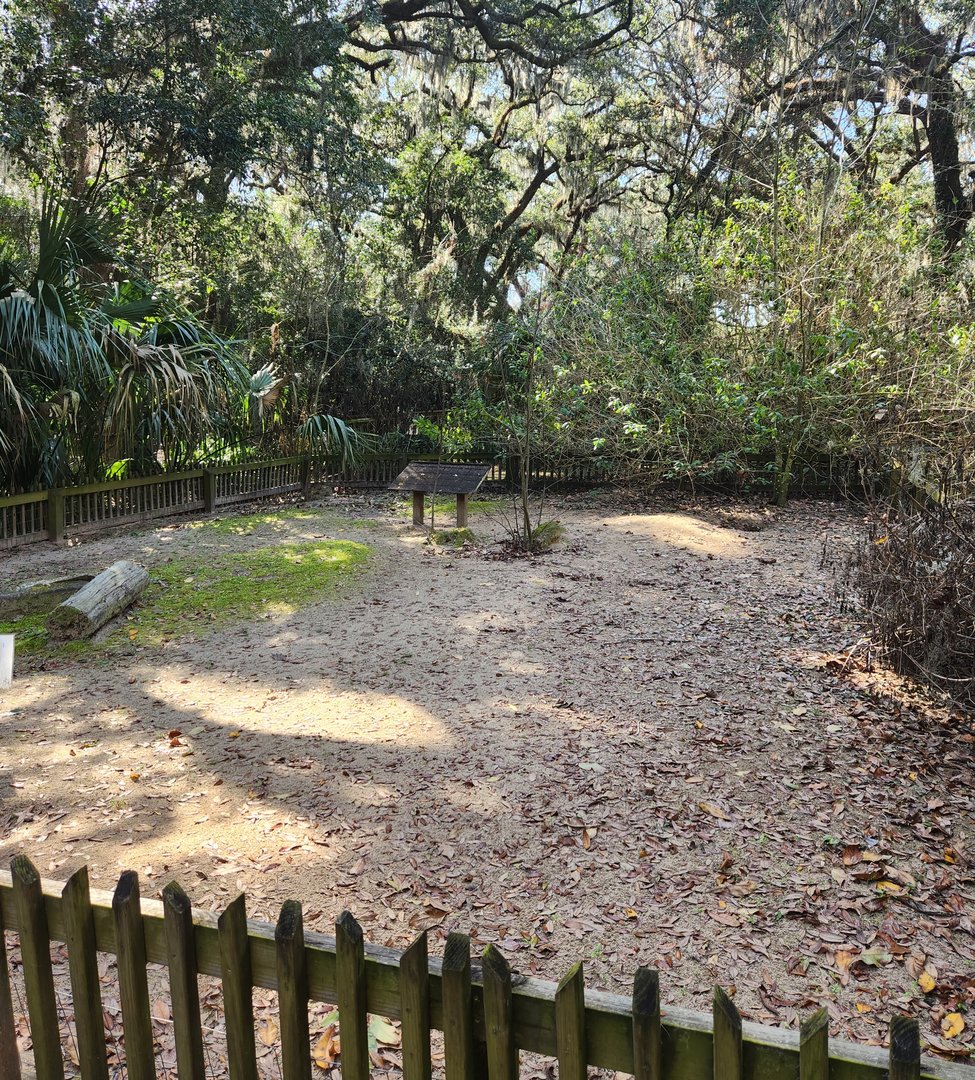 Tree Hill Nature Center - Gopher Tortoise yard