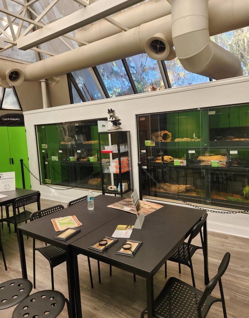 Tree Hill Nature Center - Rattlesnake Conservancy room