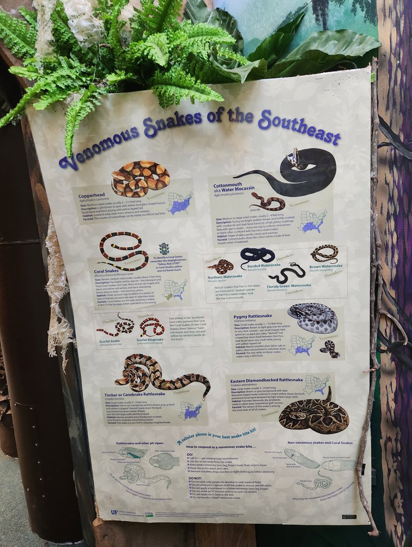 Tree Hill Nature Center - Venomous snakes of Florida
