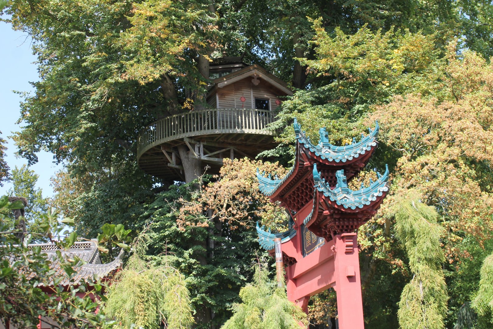 Tree-house in the middle of the park