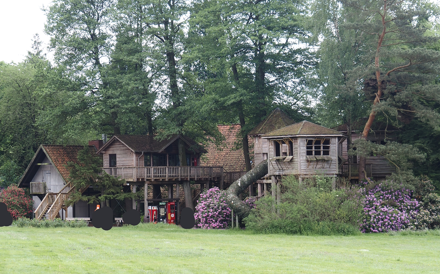 Tree houses playground area, 2024-05-23