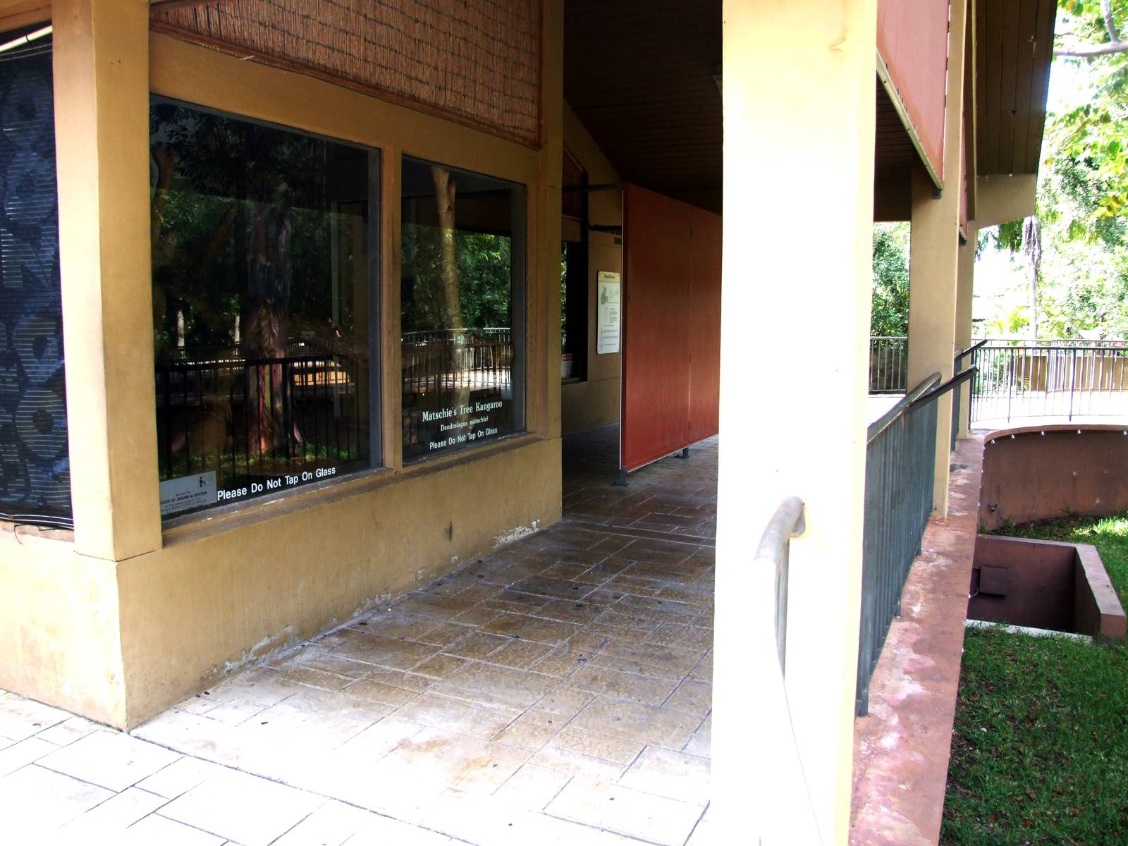 Tree Kangaroo and Koala Exhibits at Miami, 12/10/13