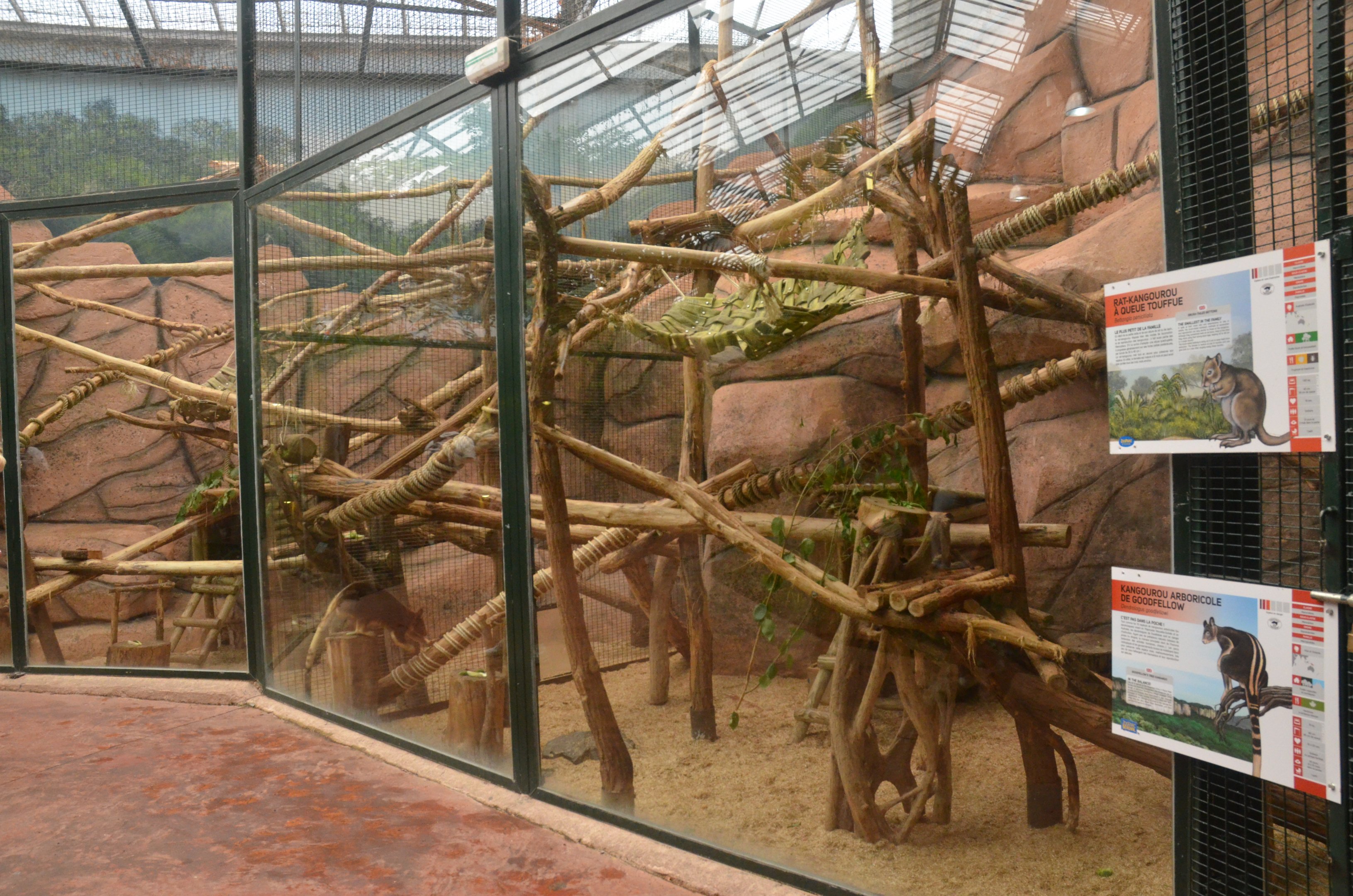 Tree Kangaroo/Bettong Enclosure at Beauval, 12/06/18