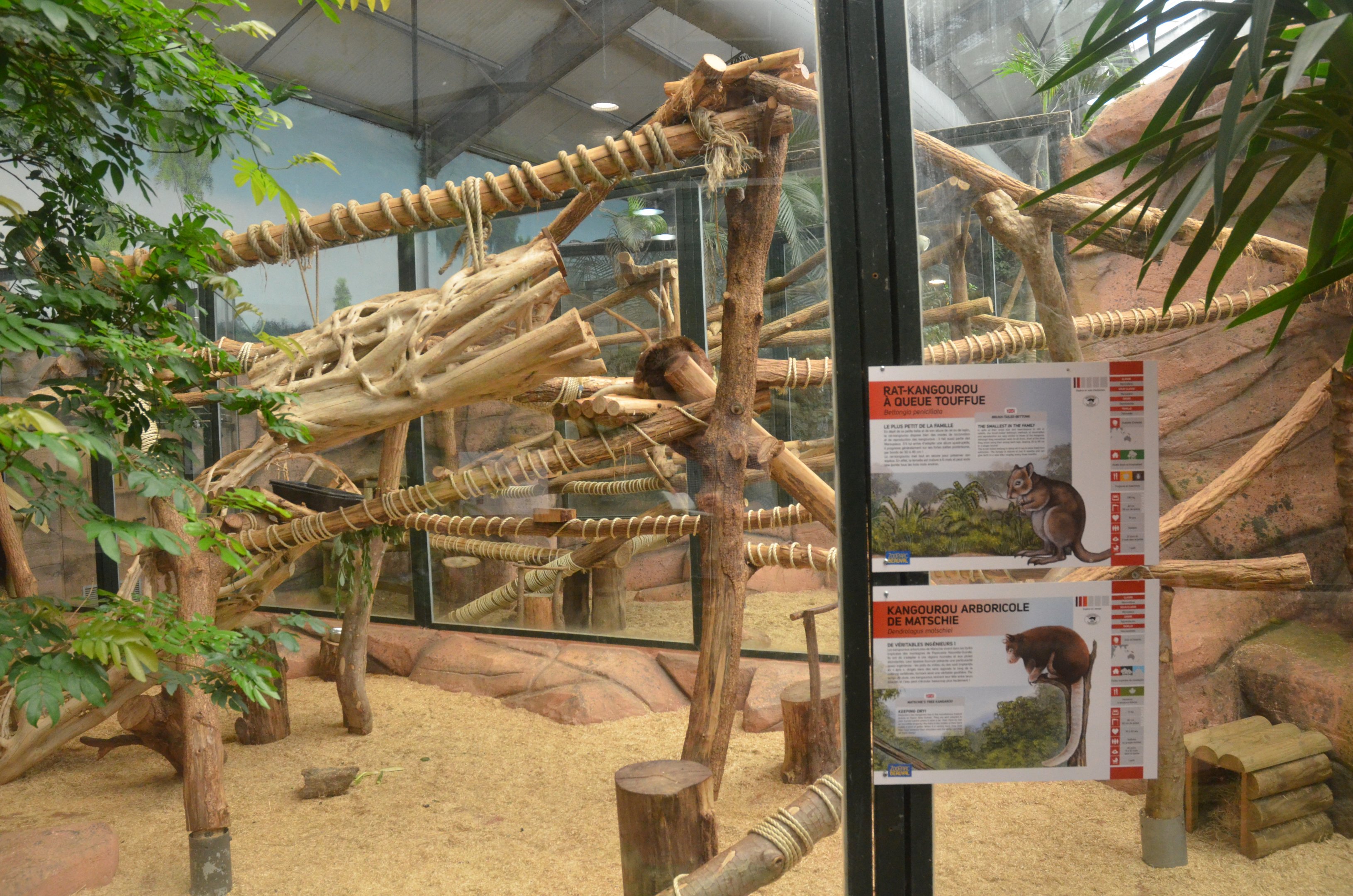 Tree Kangaroo/Bettong Enclosure at Beauval, 12/06/18