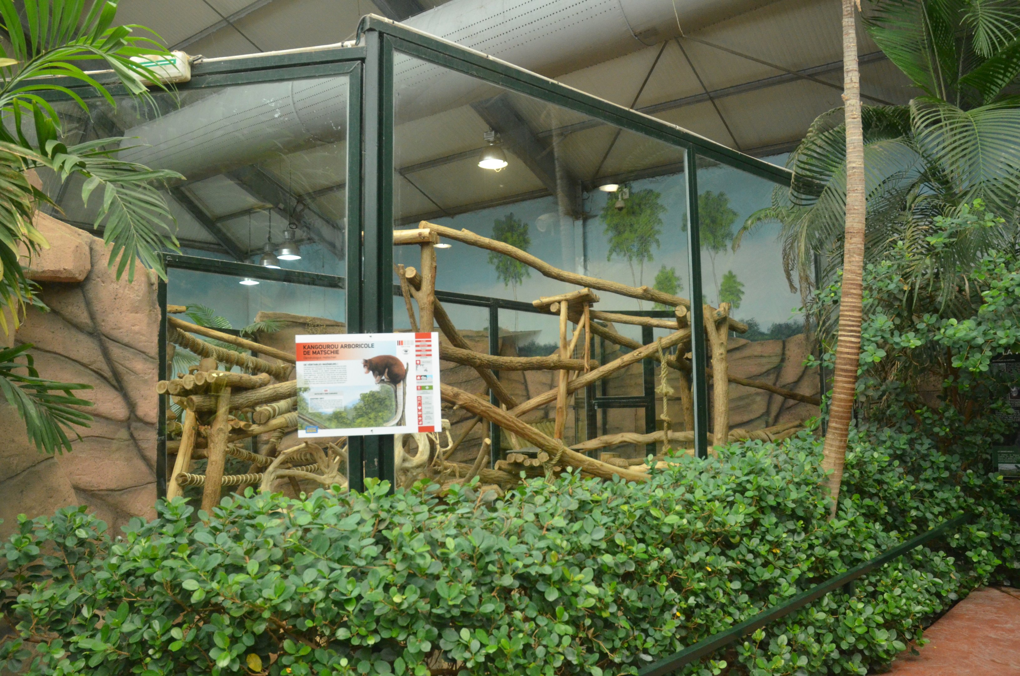 Tree Kangaroo/Bettong Enclosure at Beauval, 12/06/18