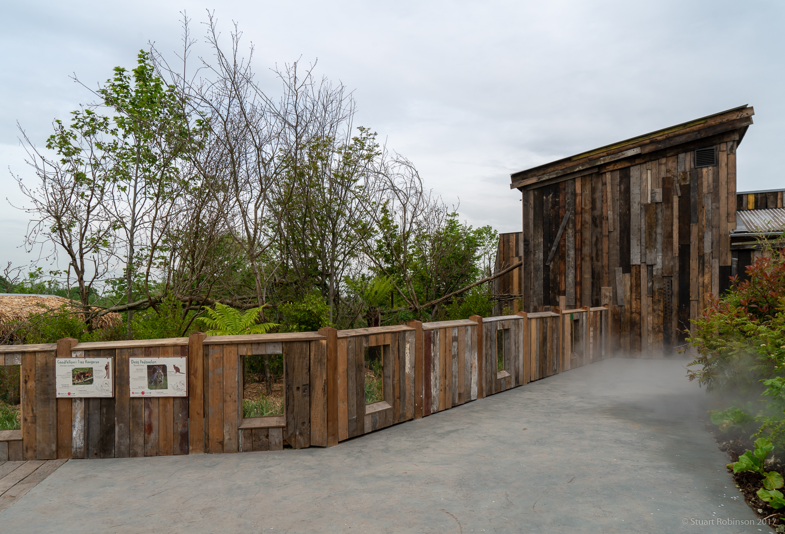 Tree Kangaroo / Dusky Pademelon Exhibit - 25/05/2018
