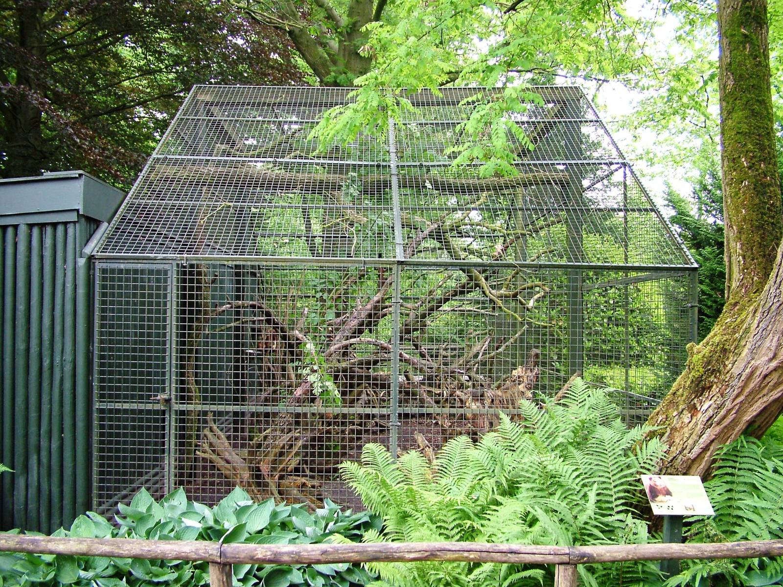 Tree Kangaroo Enclosure at Wissel Zoo, Epe, 01/06/12