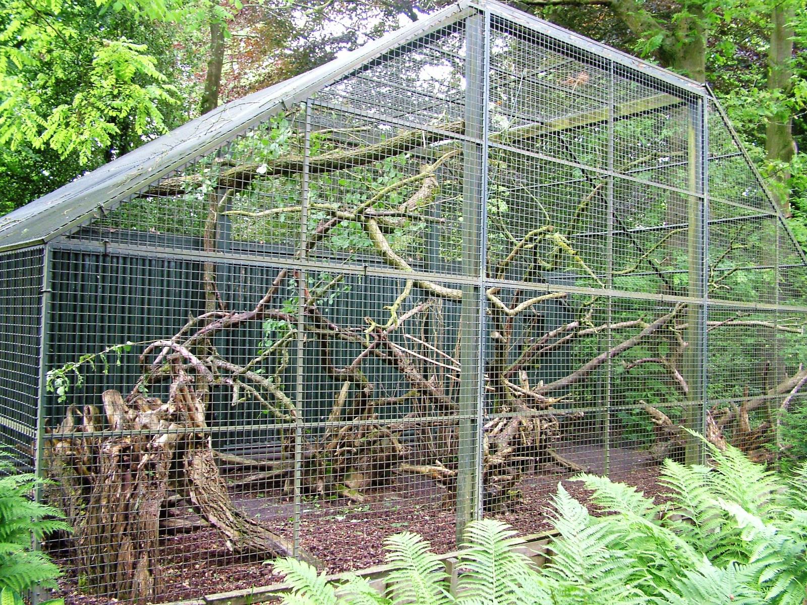 Tree Kangaroo Enclosure at Wissel Zoo, Epe, 01/06/12