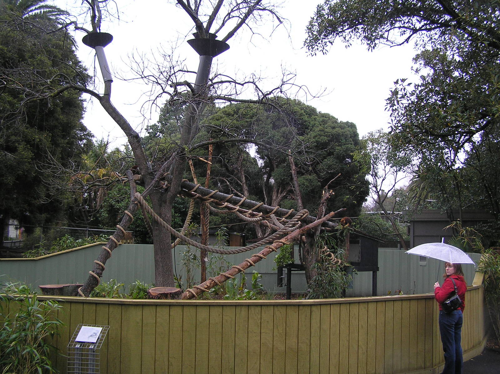 Tree kangaroo enclosure - Melbourne zoo 05