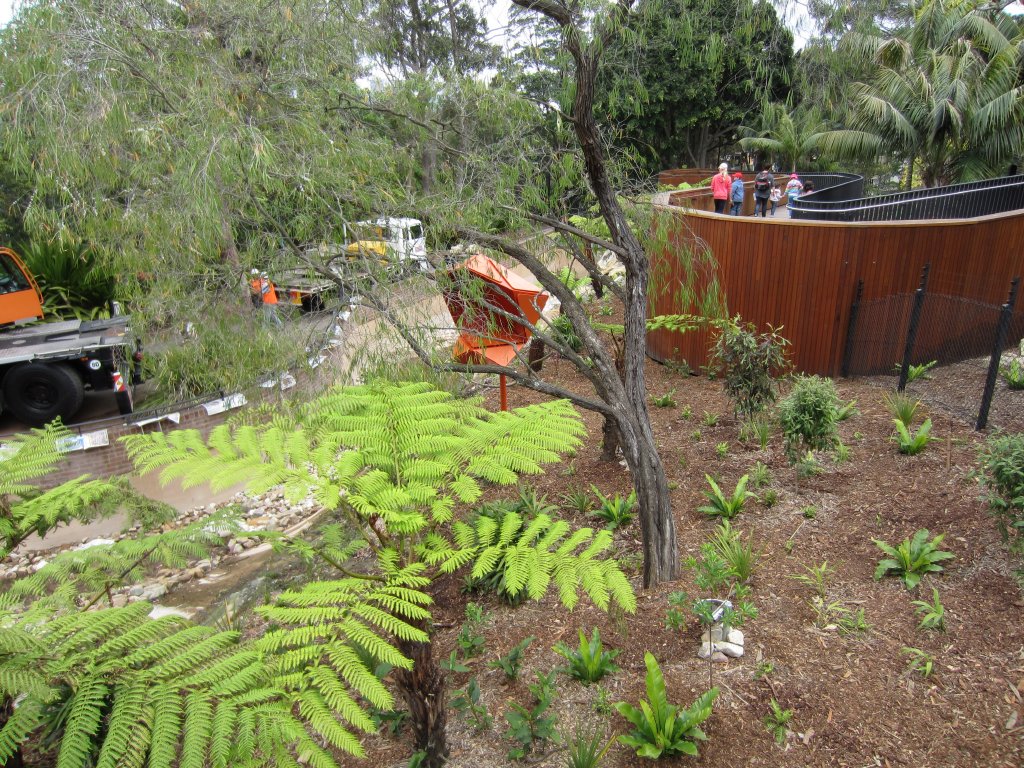 Tree Kangaroo enclosure