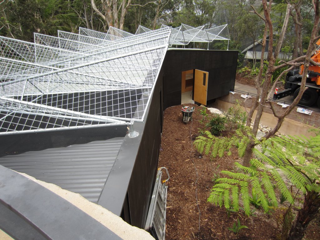 Tree Kangaroo enclosure