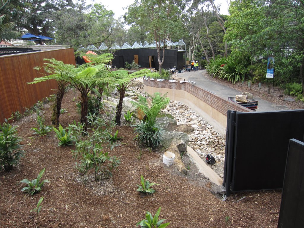 Tree Kangaroo enclosure