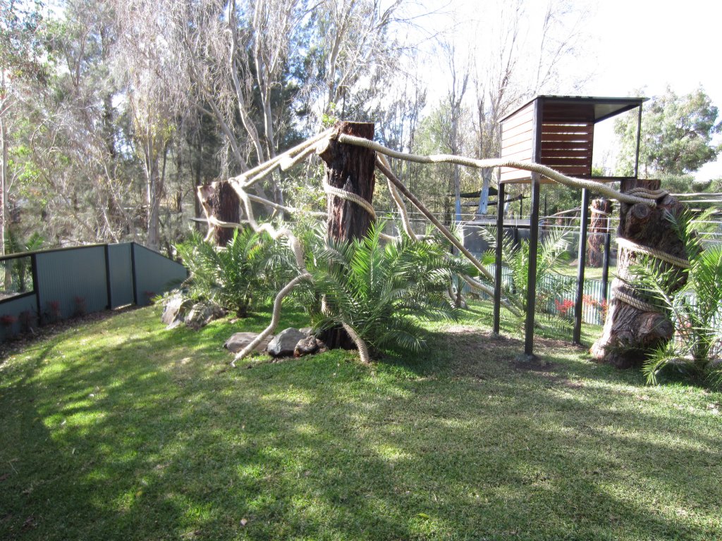 Tree Kangaroo enclosure
