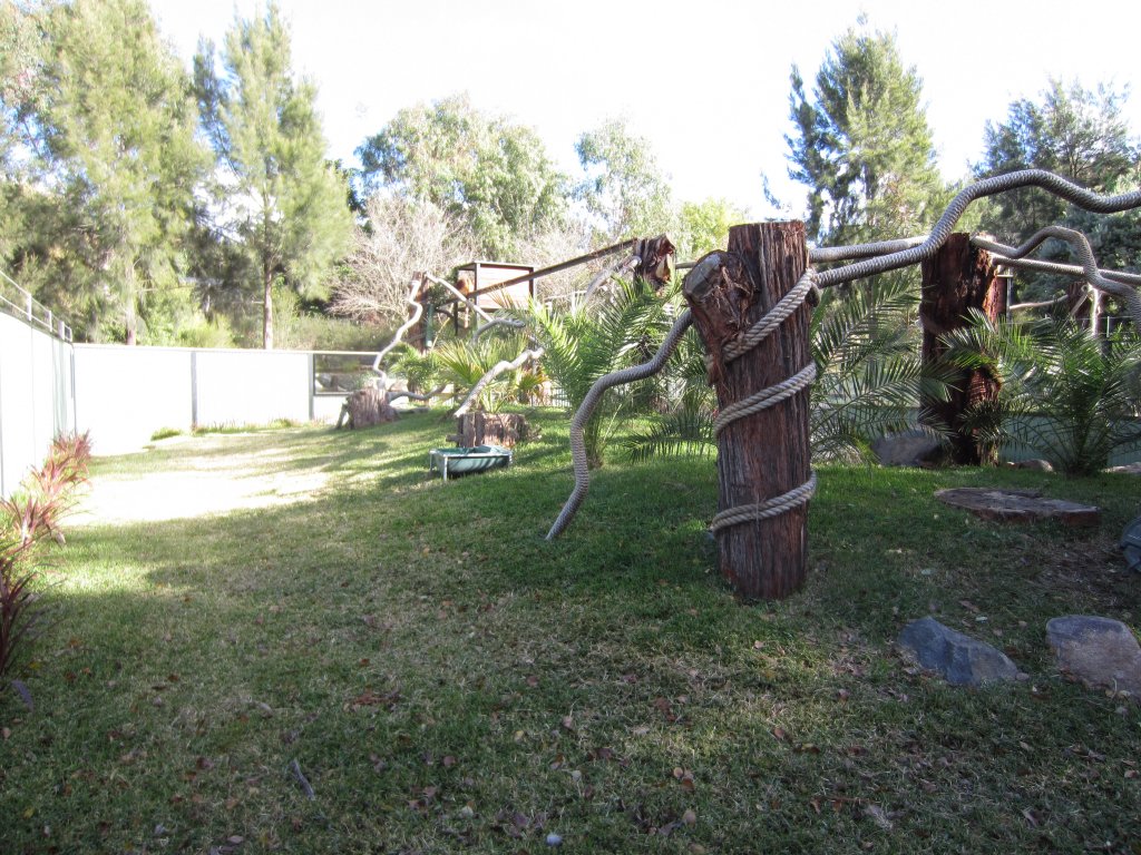 Tree Kangaroo enclosure