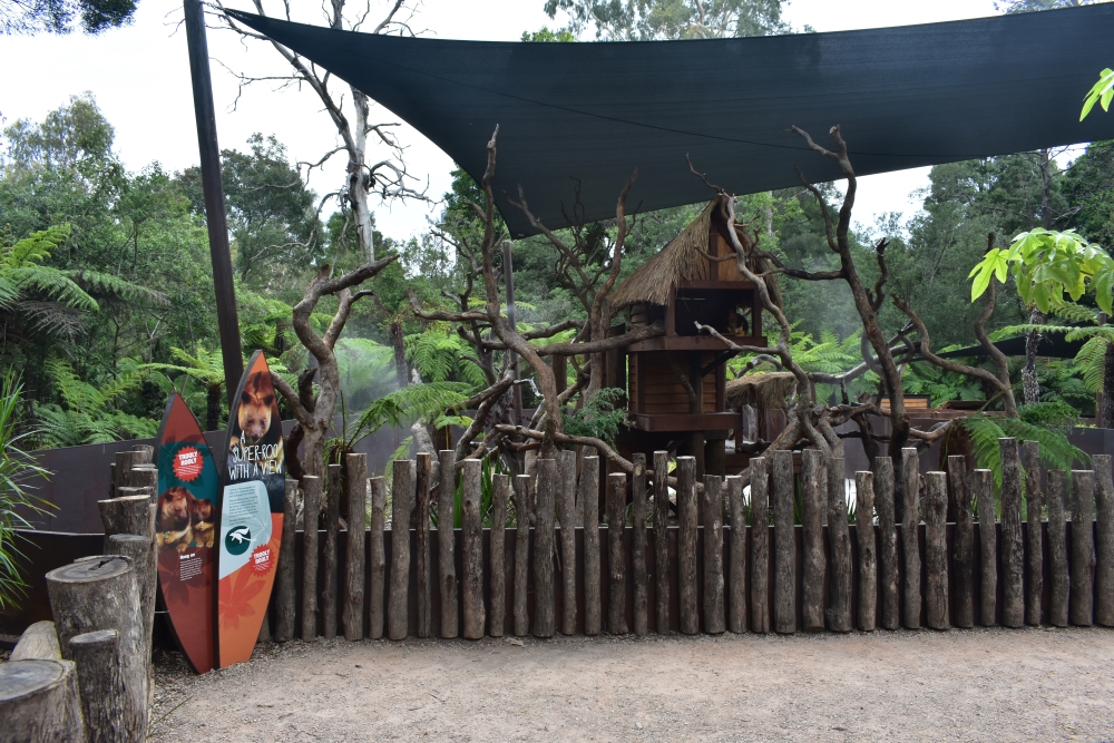 Tree Kangaroo Enclosure
