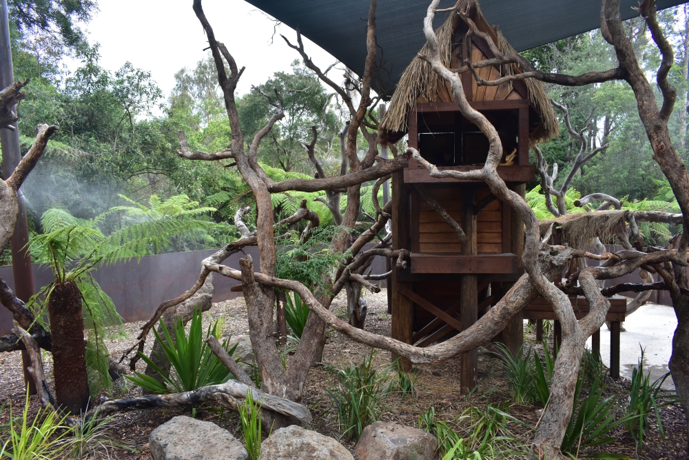 Tree Kangaroo Enclosure