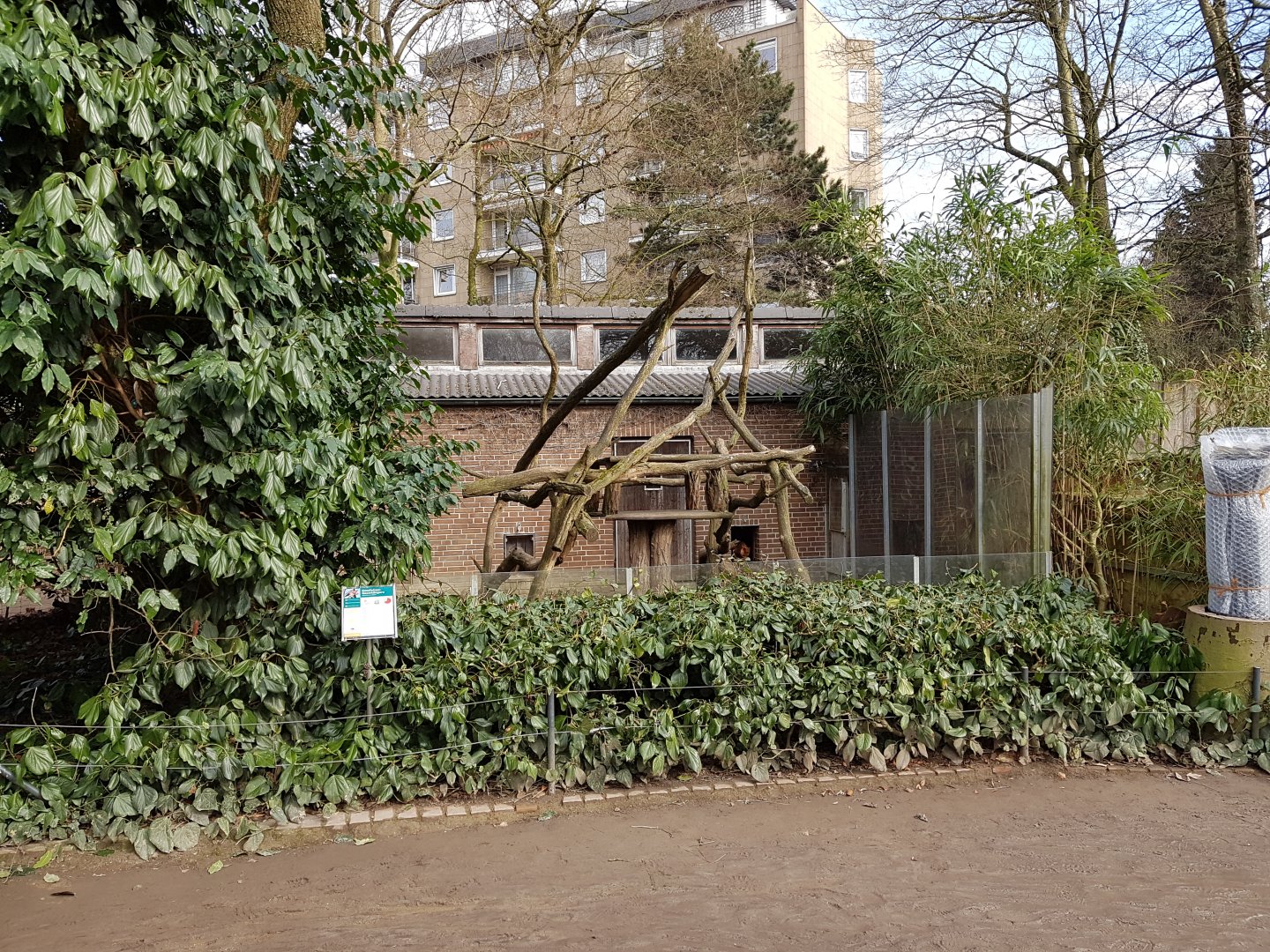 Tree kangaroo enclosure