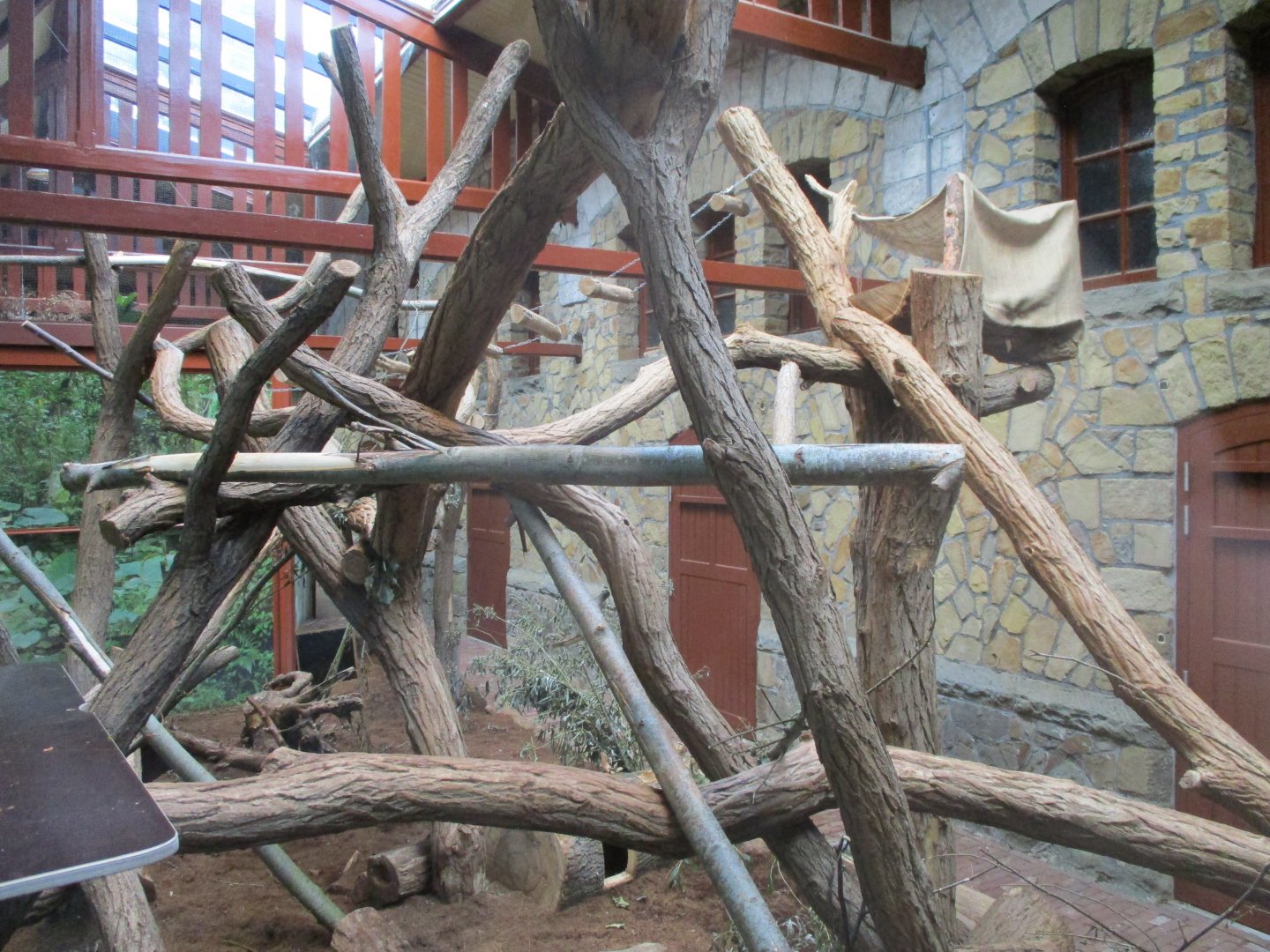 Tree kangaroo enclosure