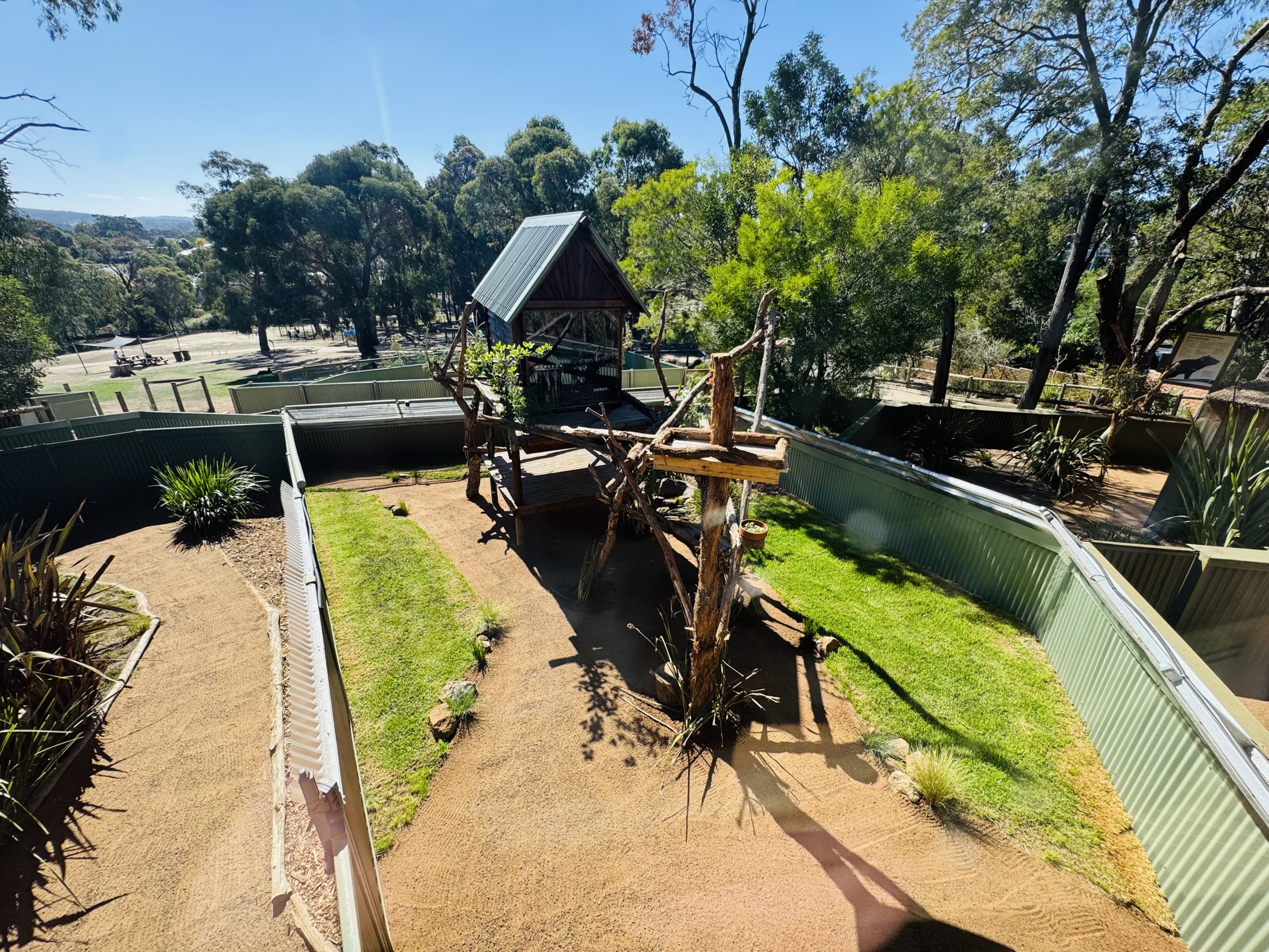 Tree kangaroo enclosure