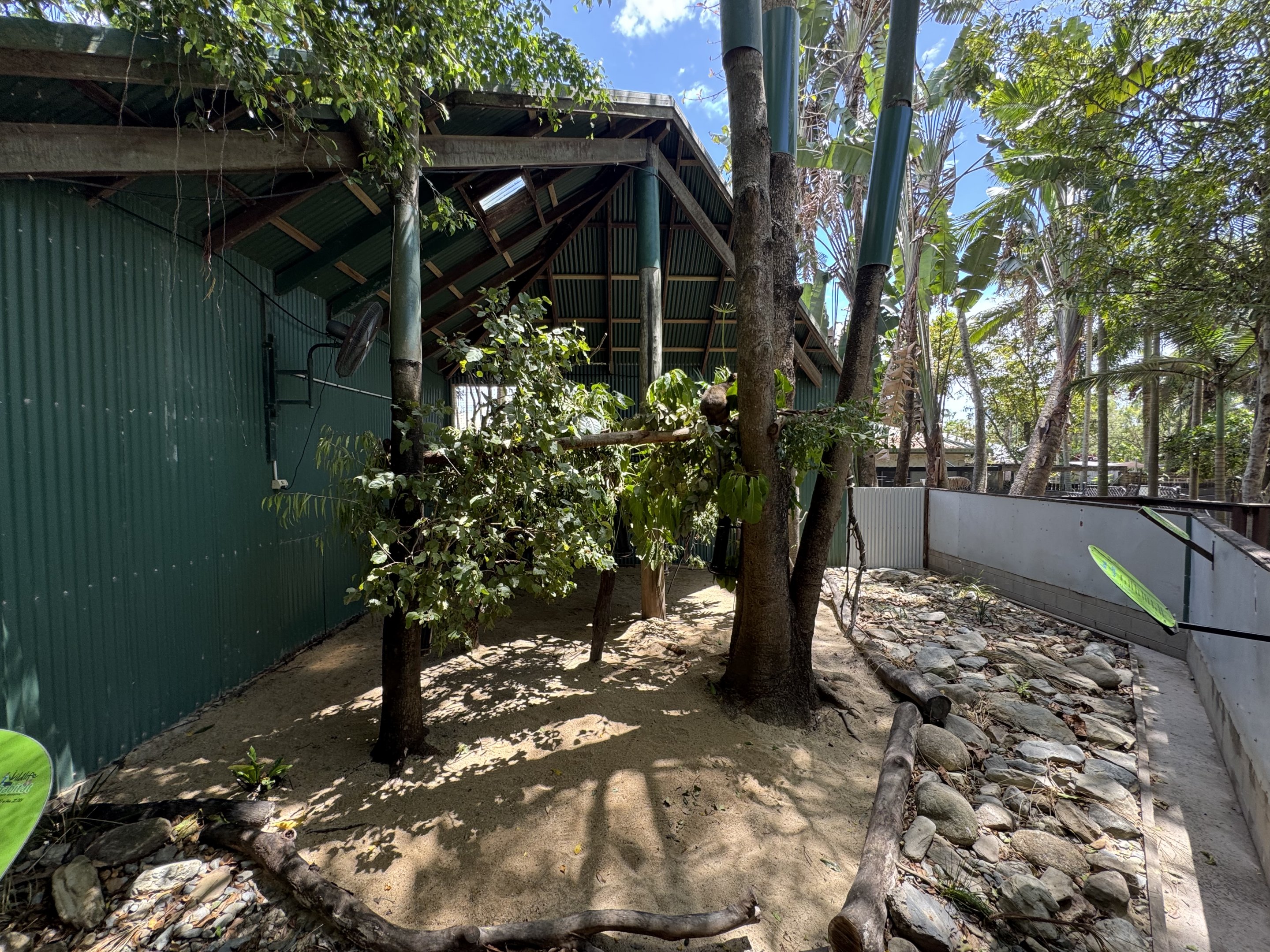 Tree kangaroo enclosure