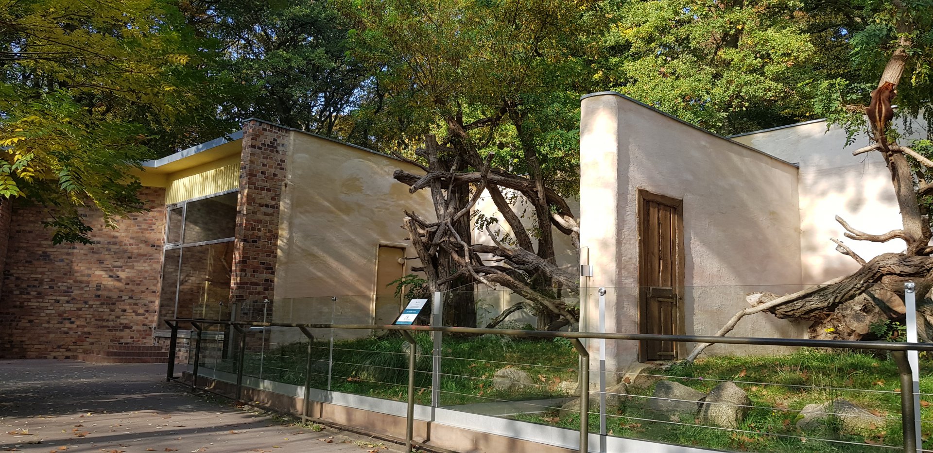 Tree kangaroo enclosures