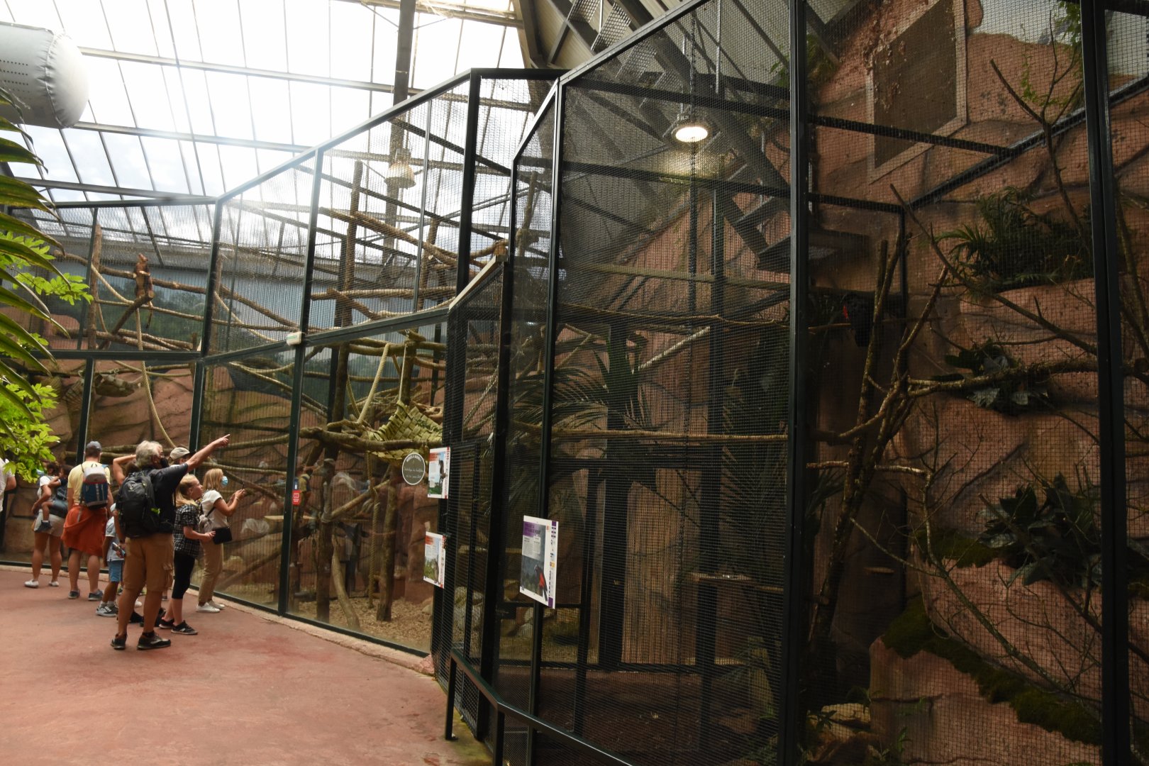 Tree Kangaroo enclosures