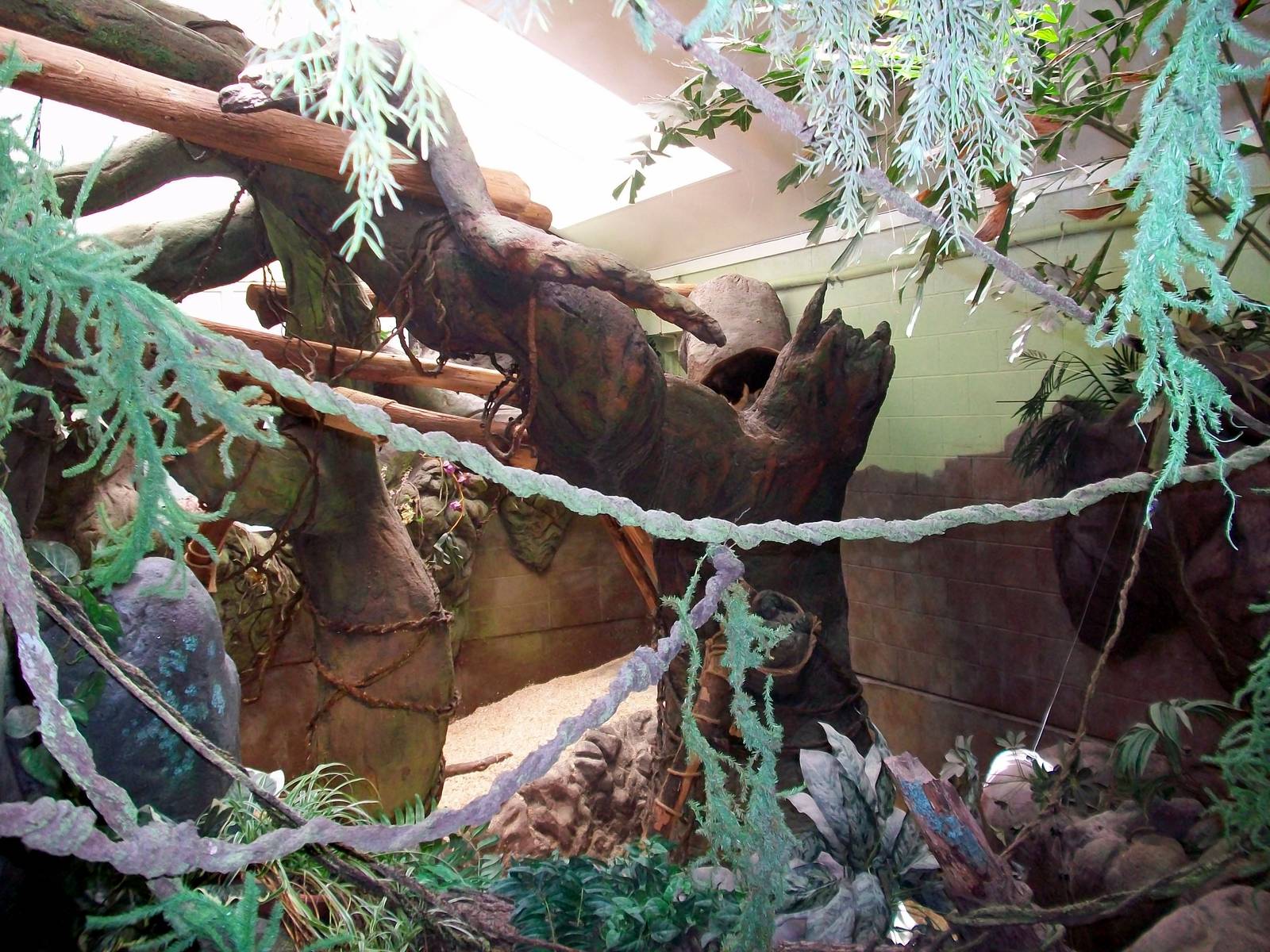 Tree Kangaroo Exhibit - 2009
