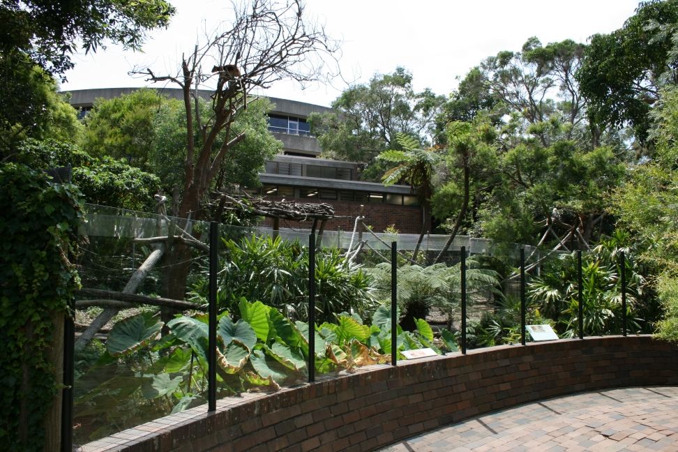 Tree-kangaroo exhibit, Taronga Zoo