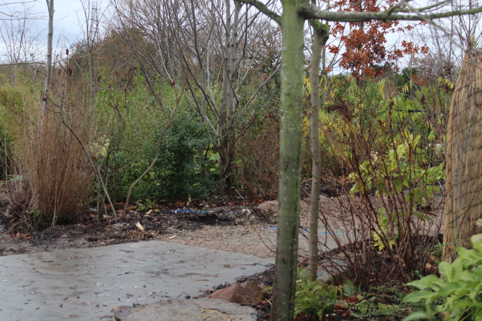 Tree Kangaroo Exhibit