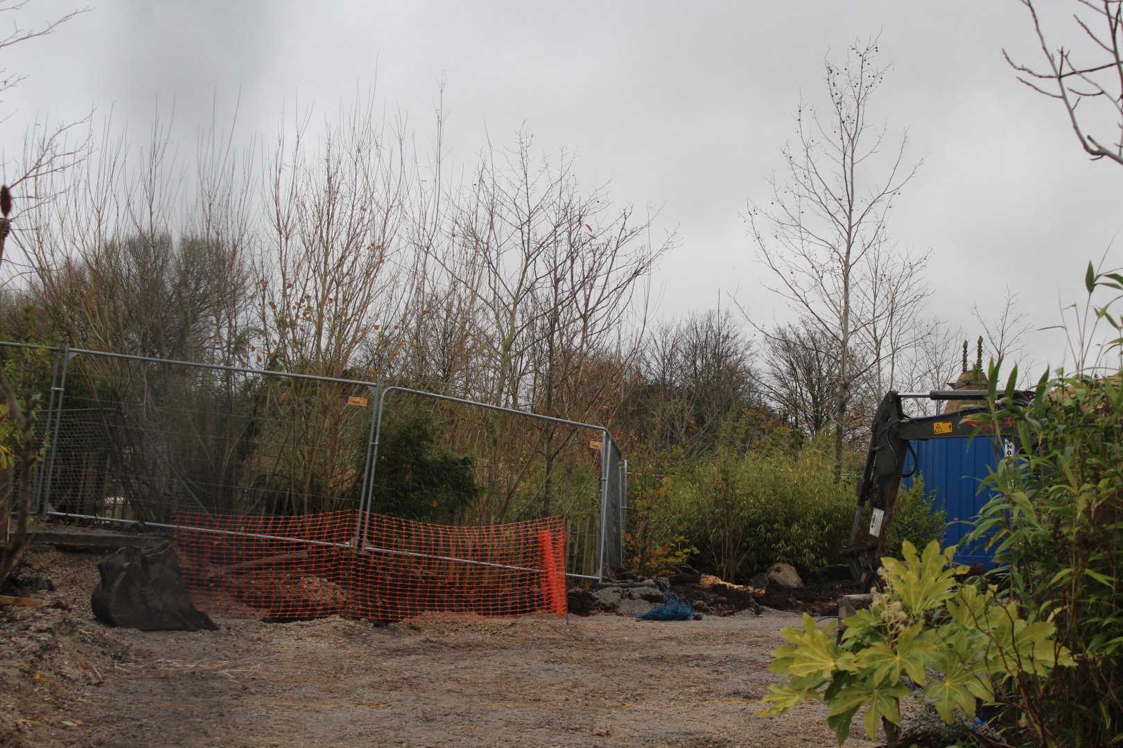 Tree Kangaroo Exhibit