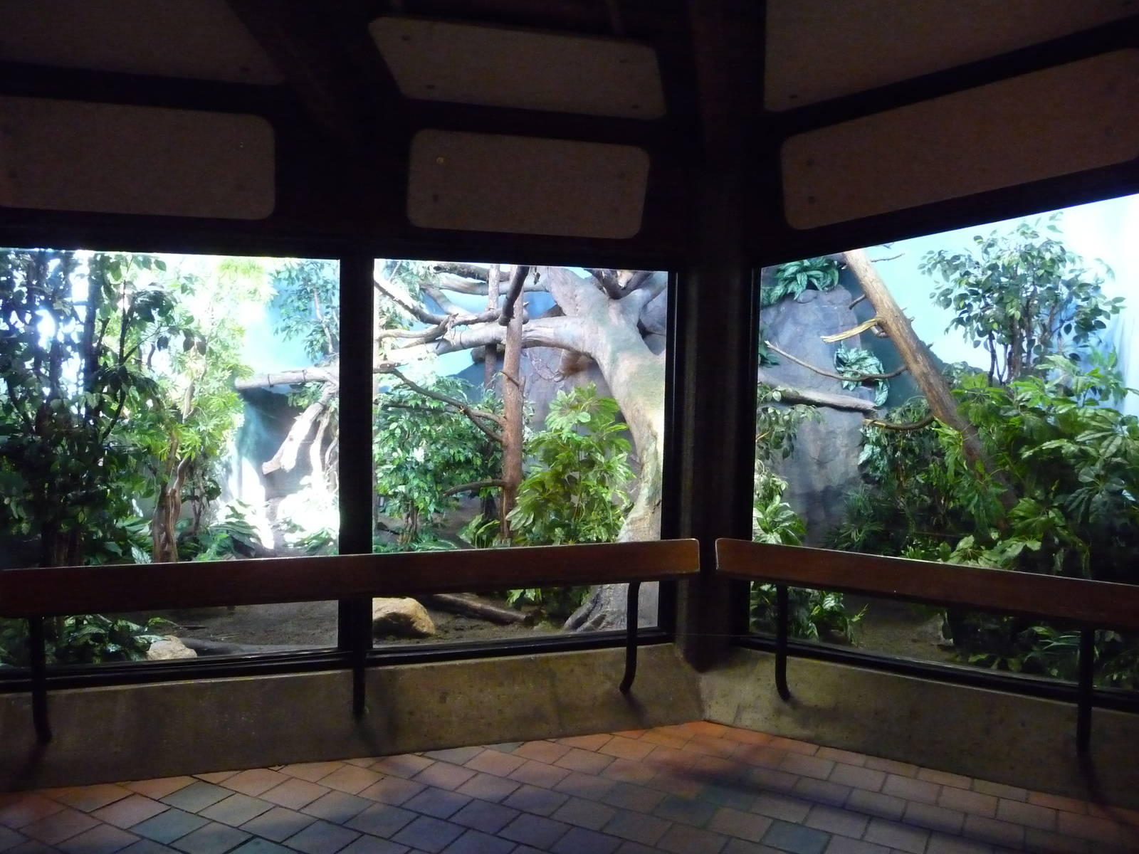 Tree Kangaroo Exhibit
