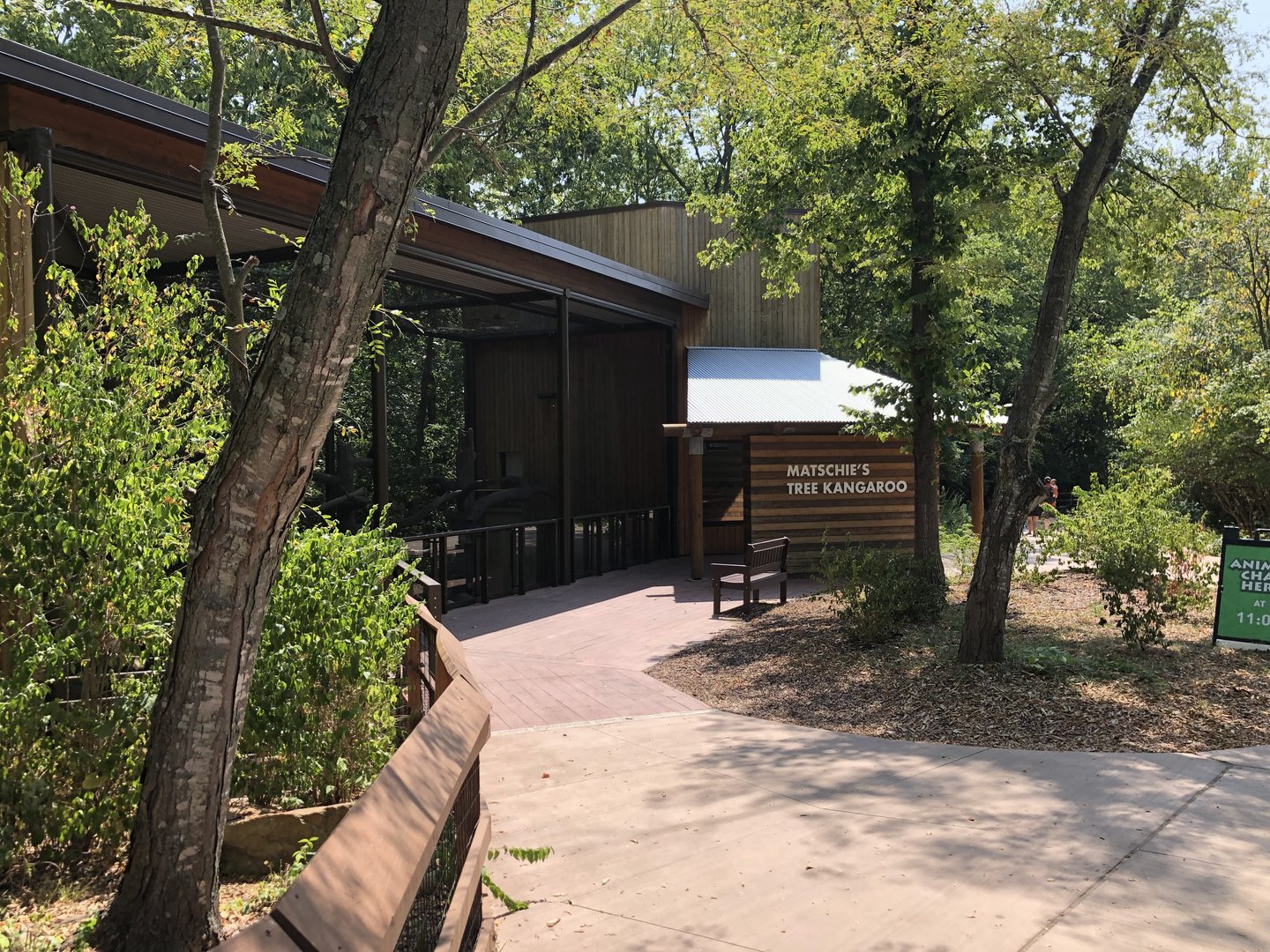 Tree Kangaroo Exhibit