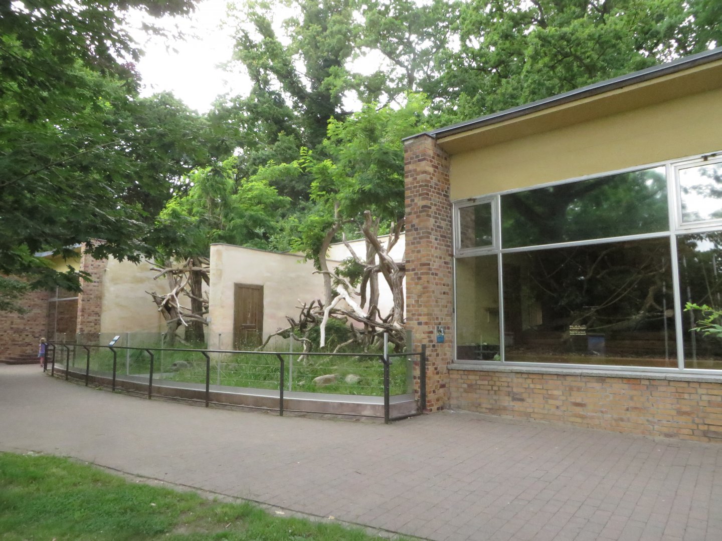 Tree kangaroo exhibits