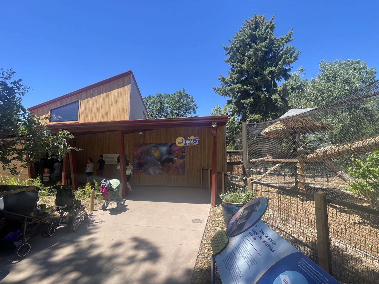 Tree Kangaroo Exhibits