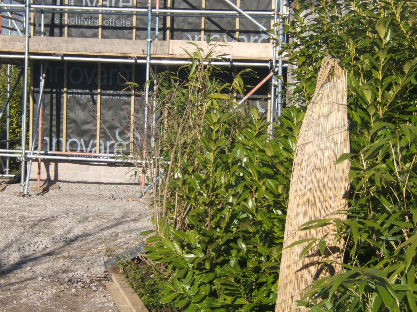 Tree Kangaroo House under construction 17/02/2018