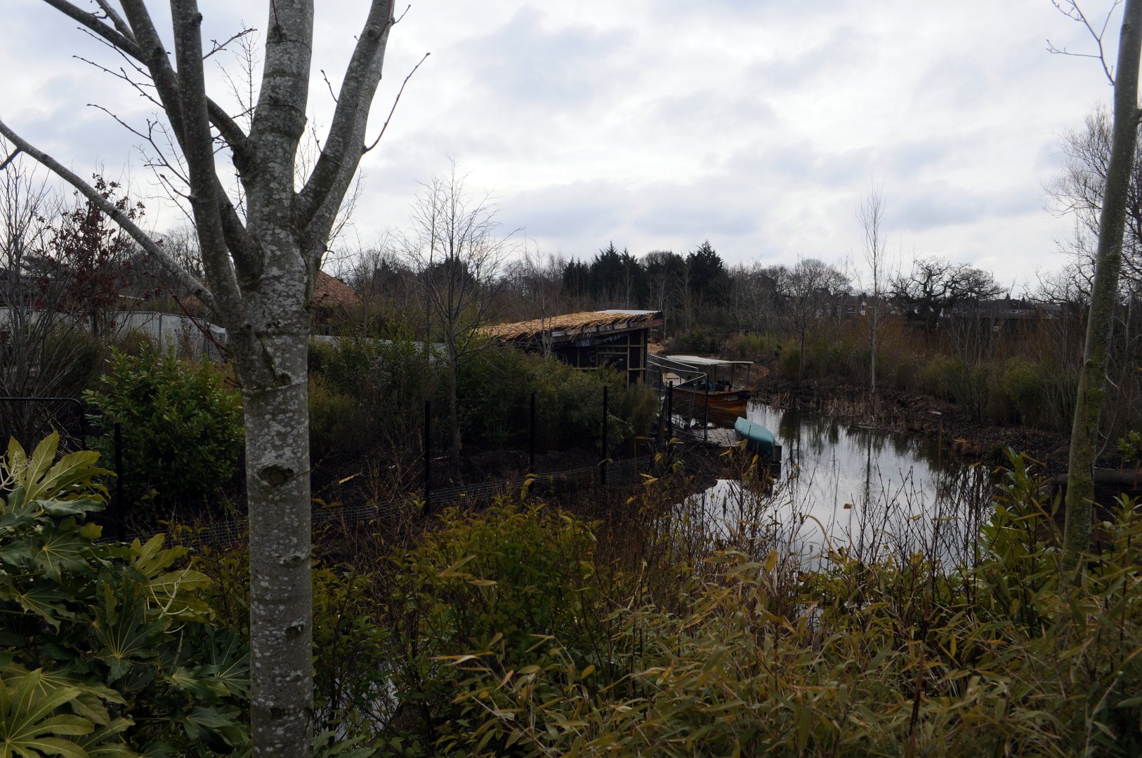 tree kangaroo outdoor area