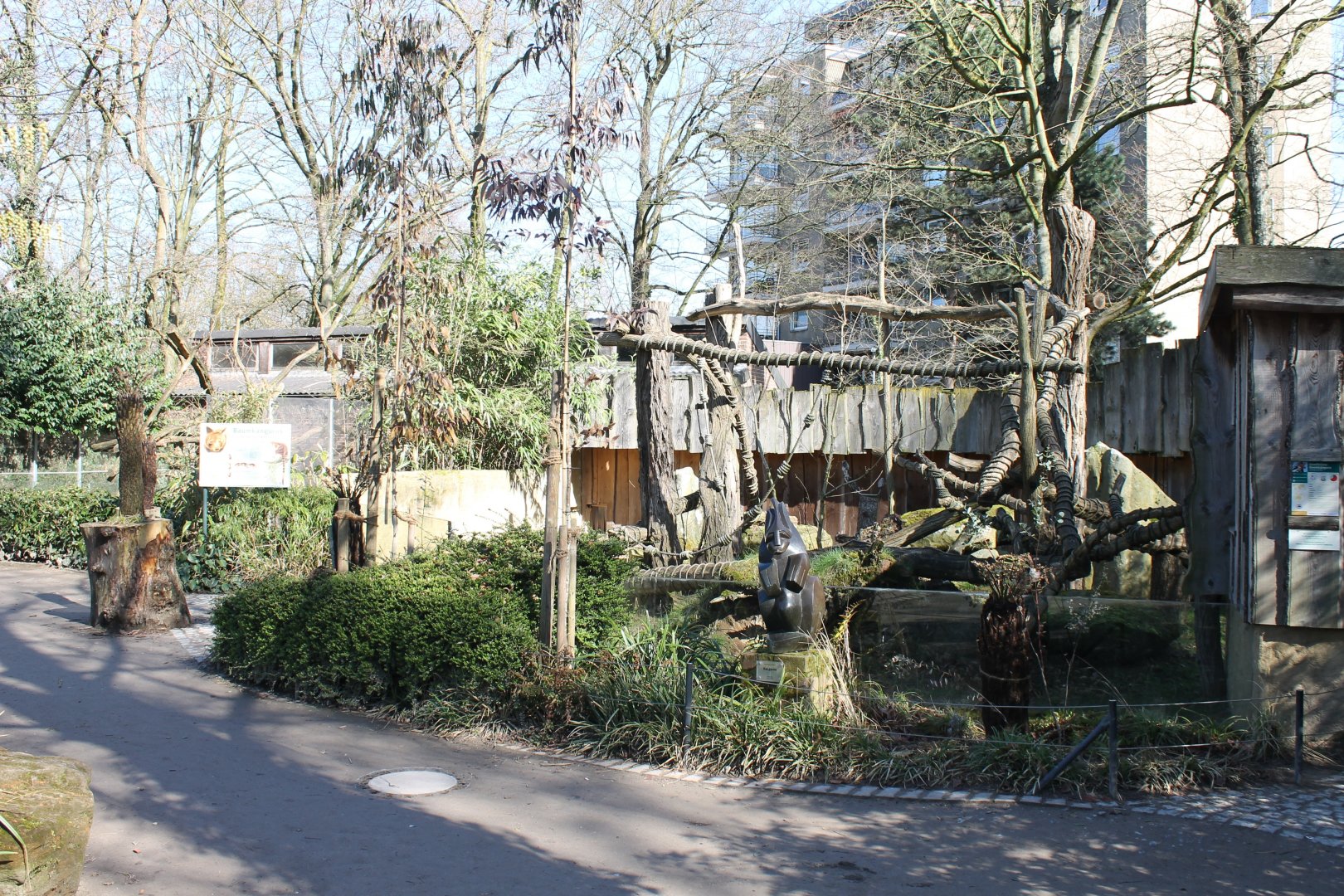 Tree kangaroo-outdoor-enclosure