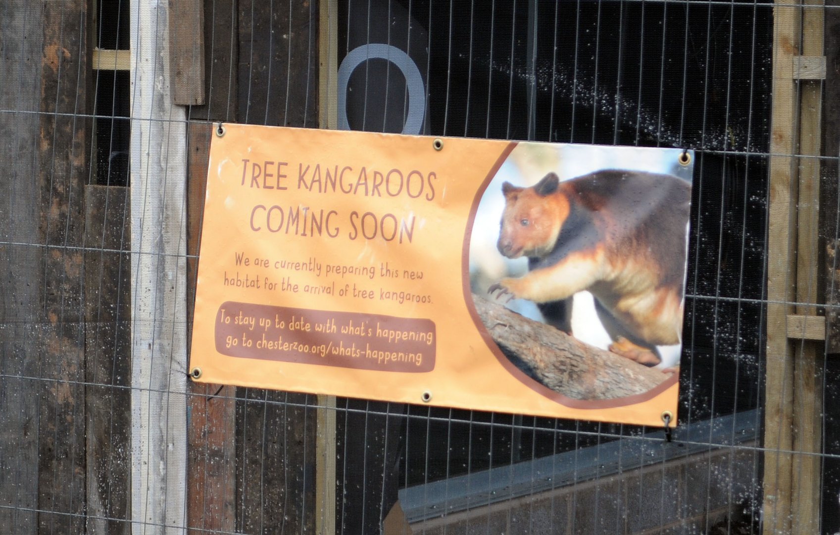 Tree Kangaroo sign coming soon