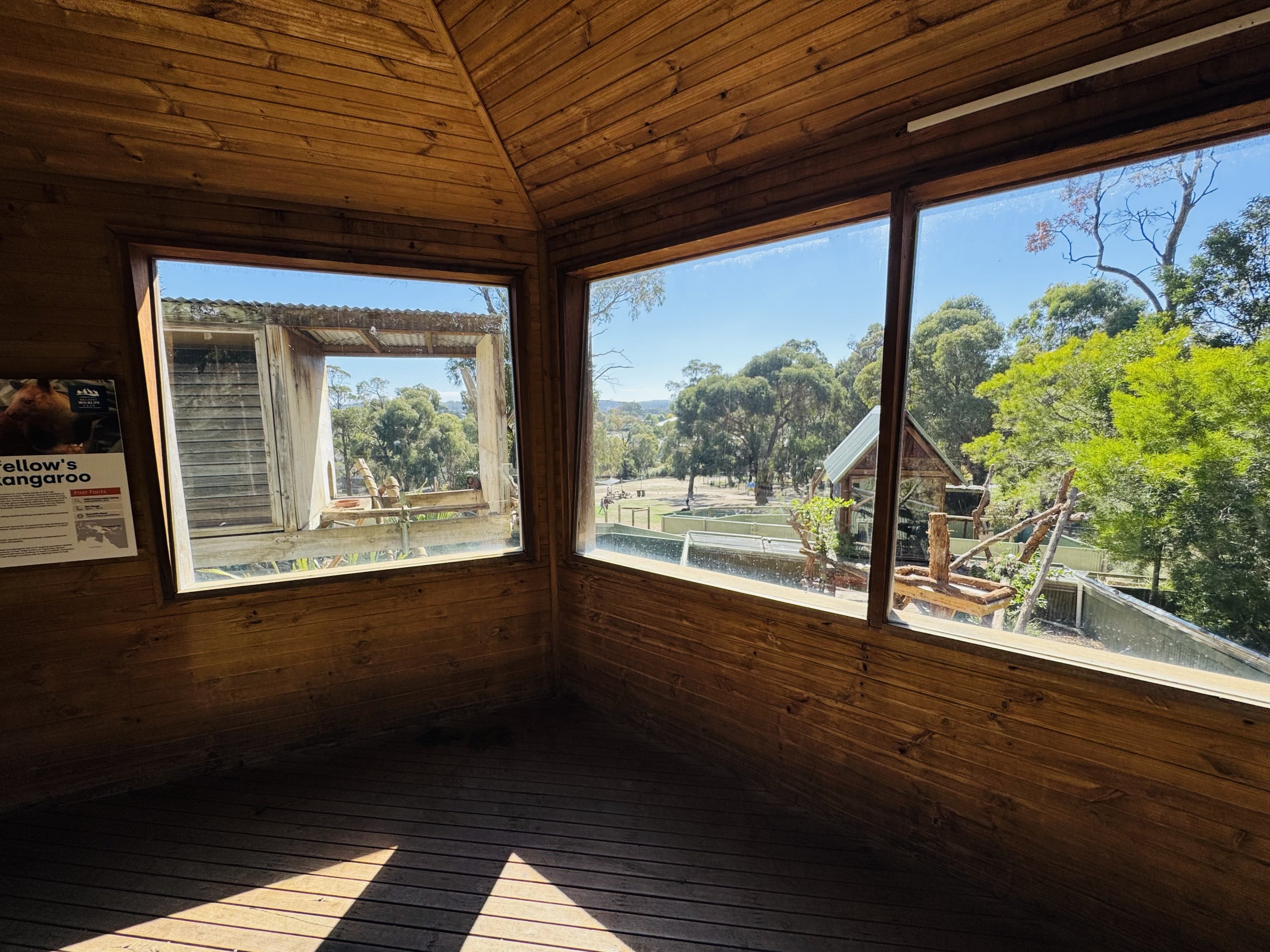 Tree kangaroo viewing area