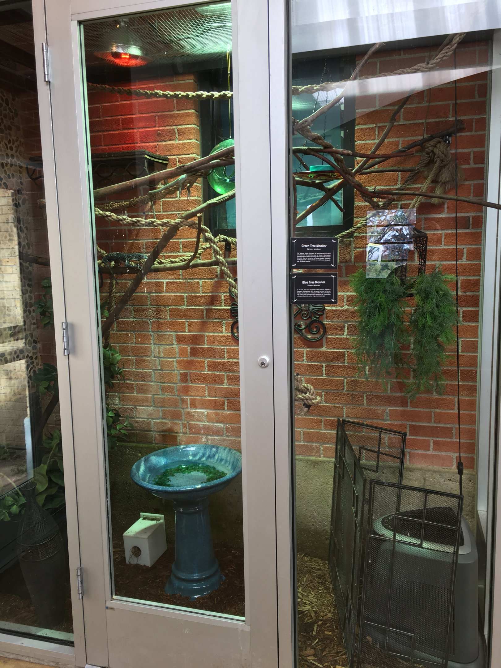 Tree monitor exhibit