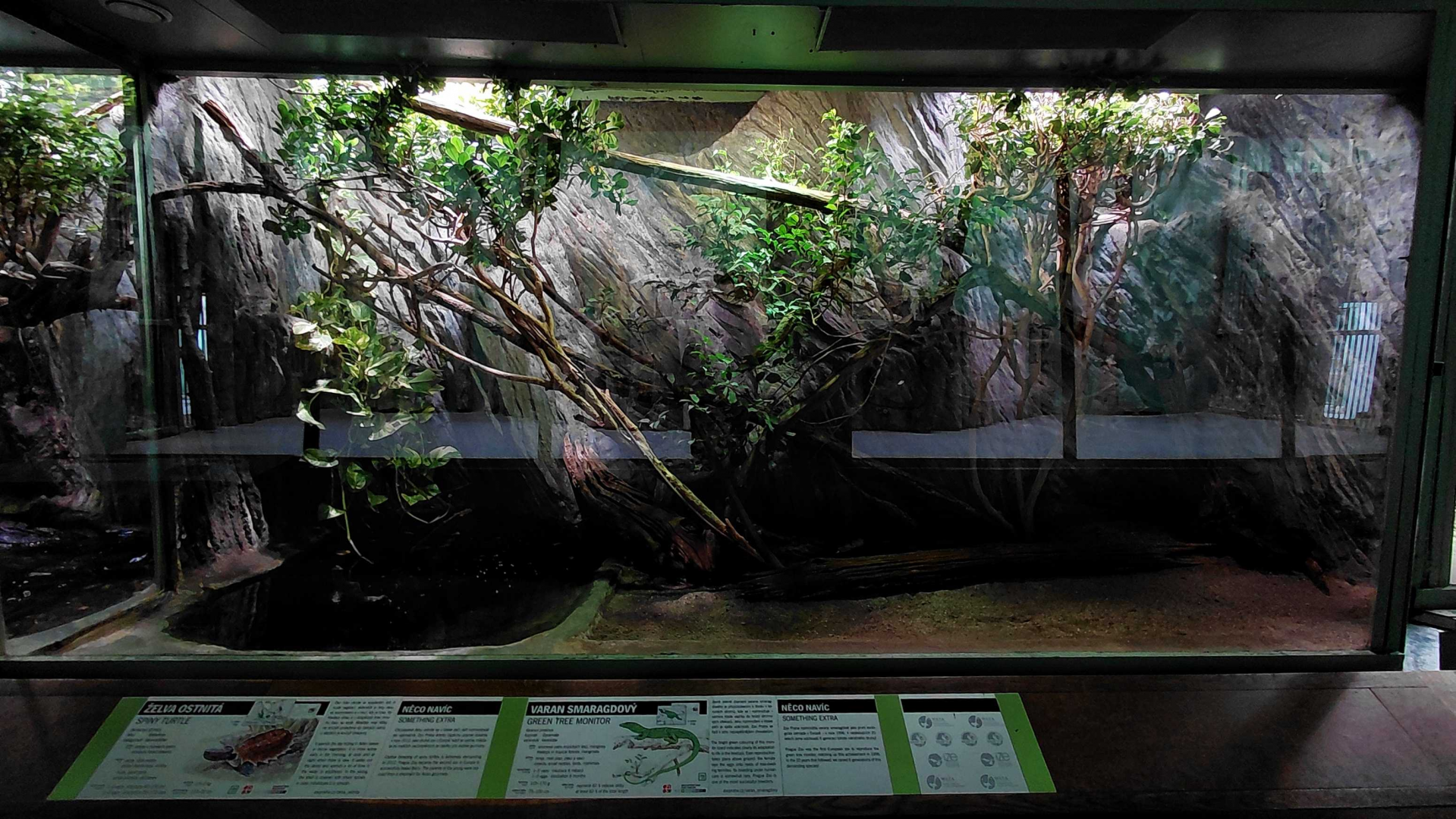 Tree monitor exhibit