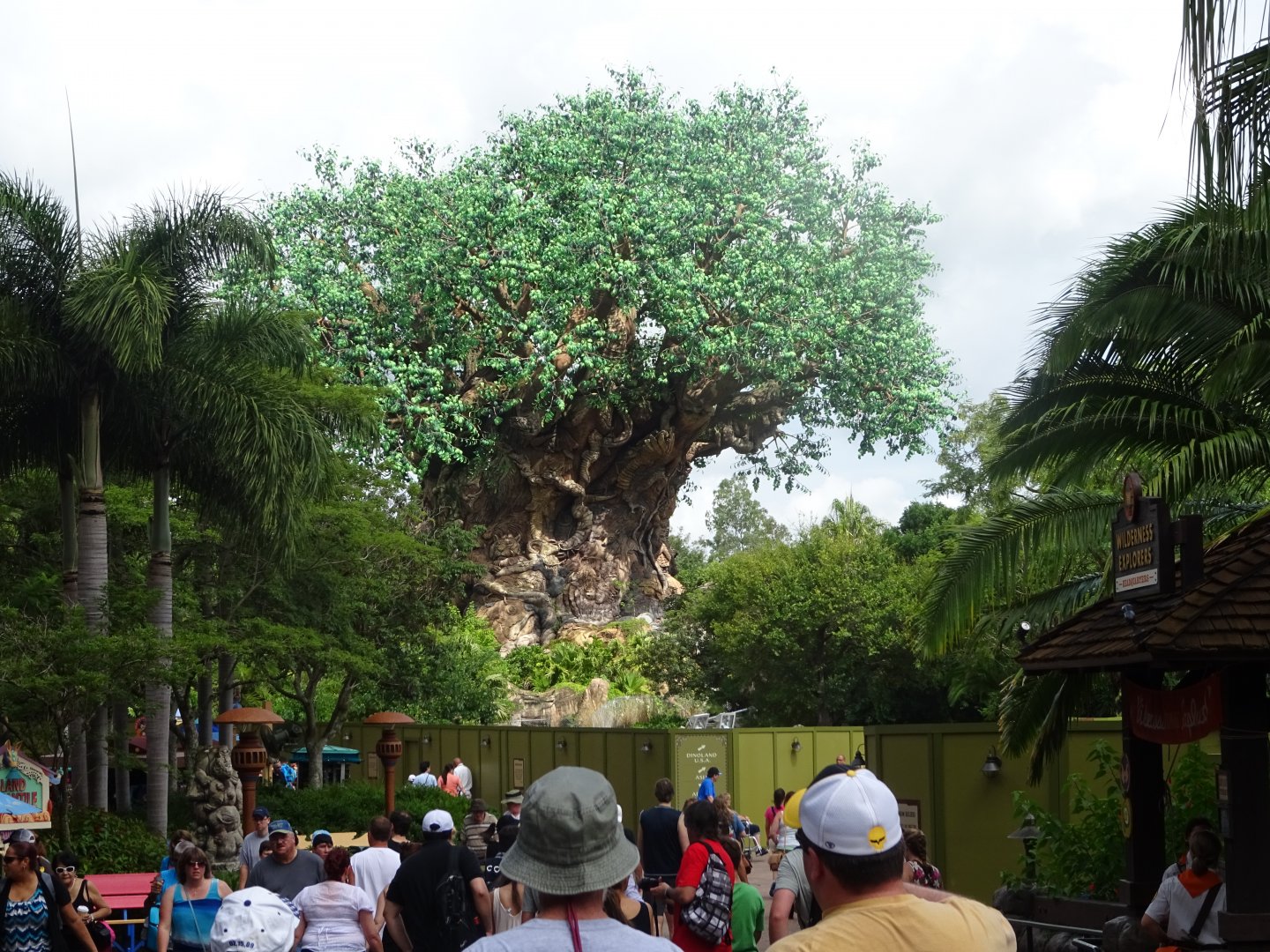 Tree of Life at Disney's Animal Kingdom (2014)