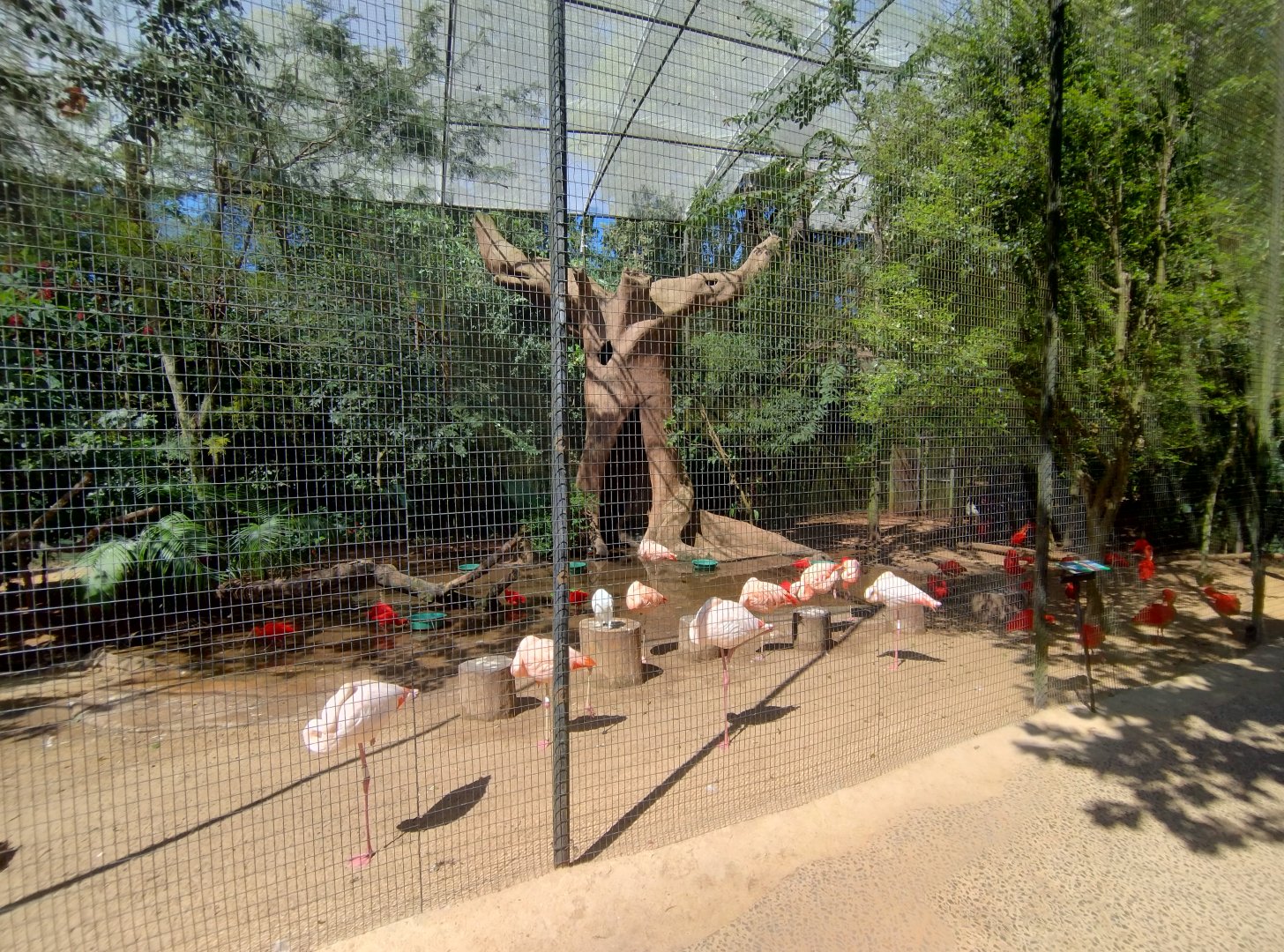 Tree of life aviary - Parque das Aves