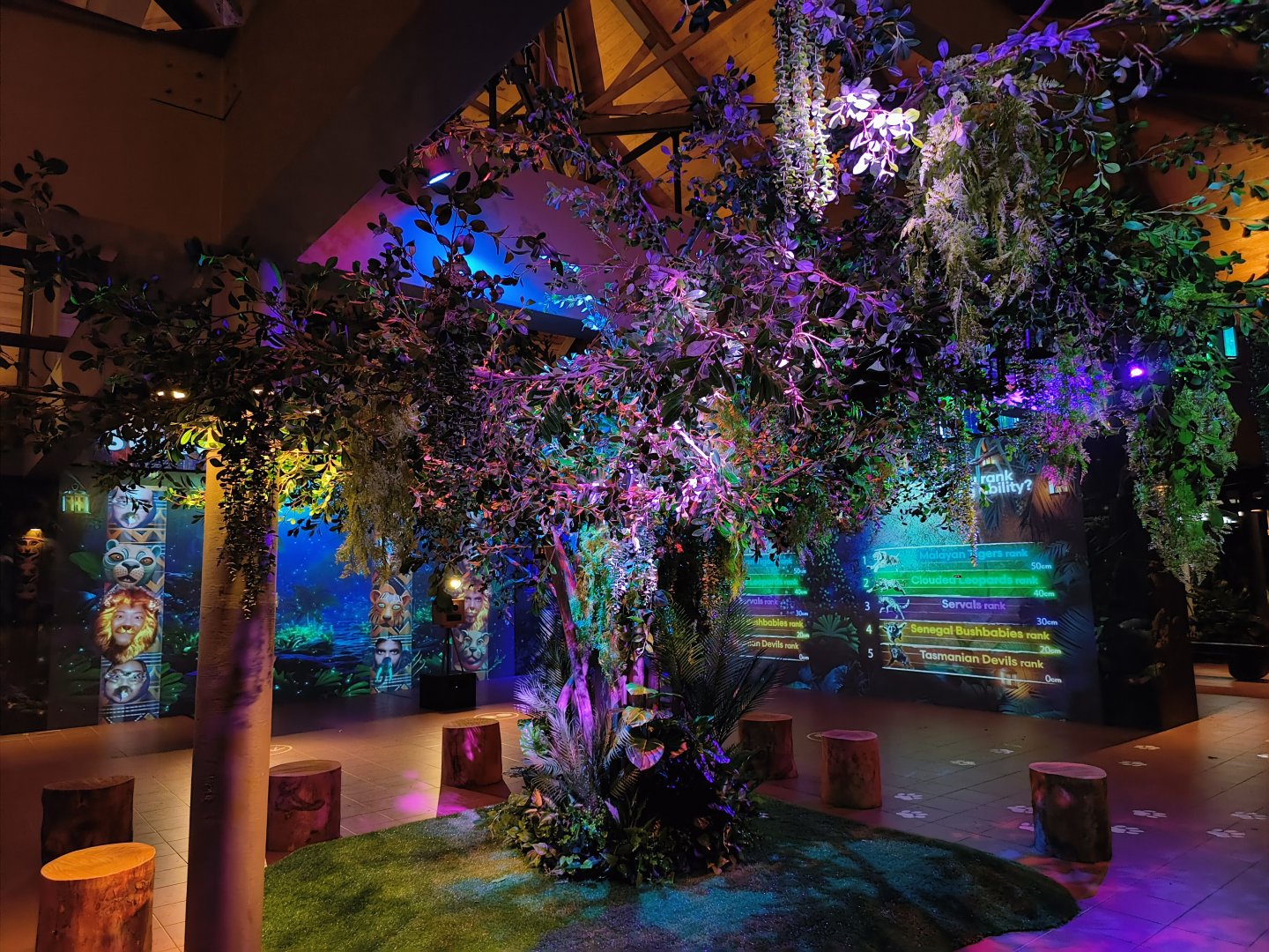 "Tree of Life" Secret Wild-erland