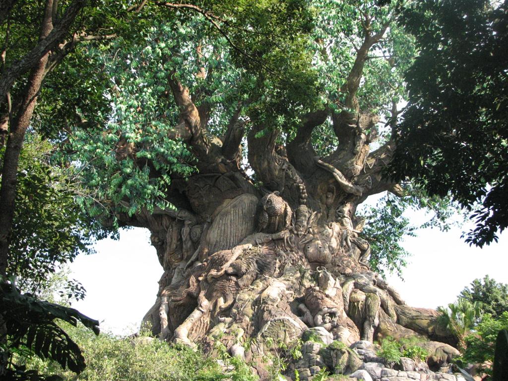 Tree of Life