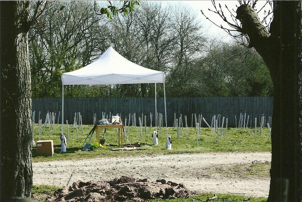 Tree planting 30th March 2012