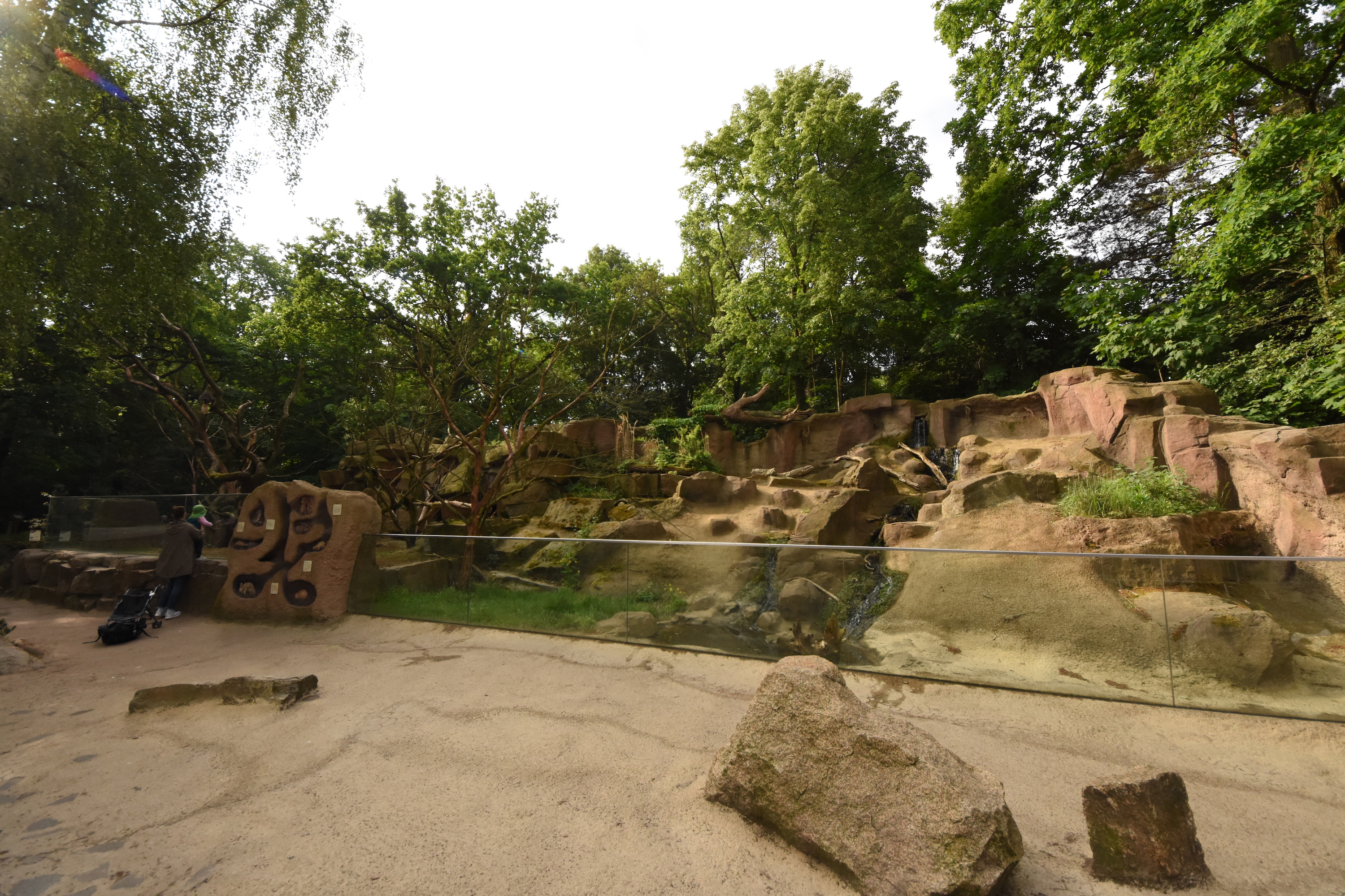 Tree porcupine and Prairie dog enclosure
