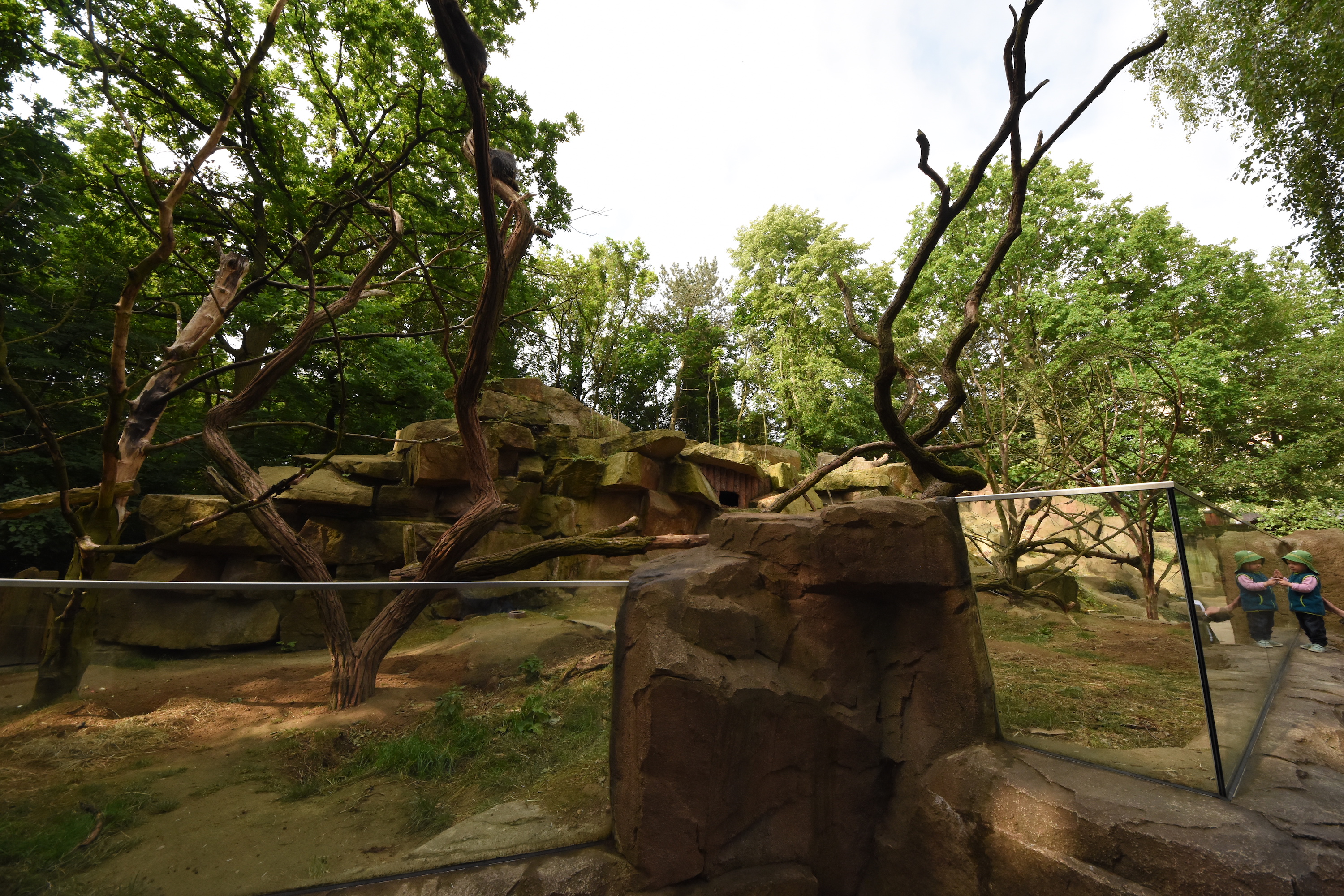 Tree porcupine and Prairie dog enclosure