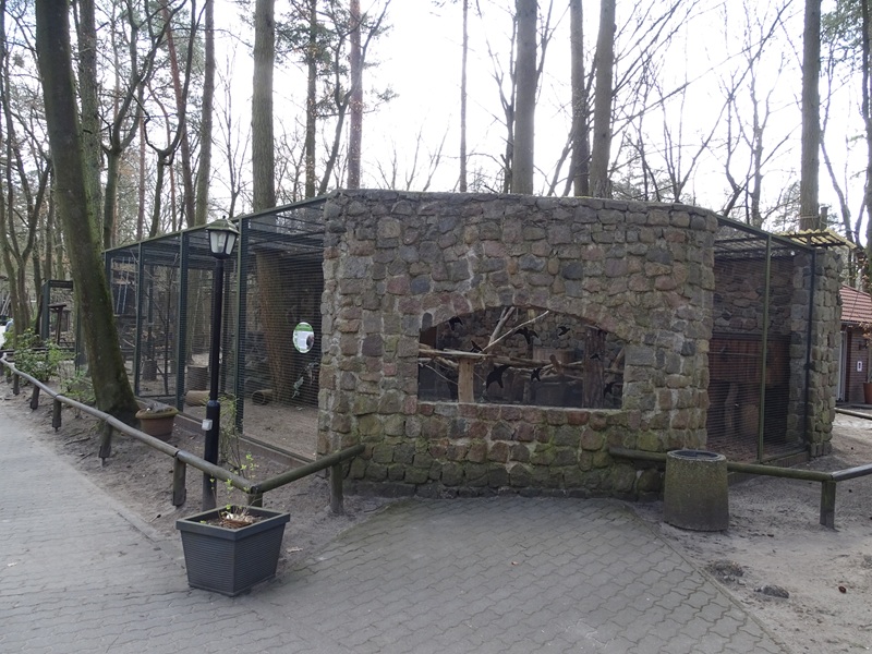 Tree porcupine enclosure