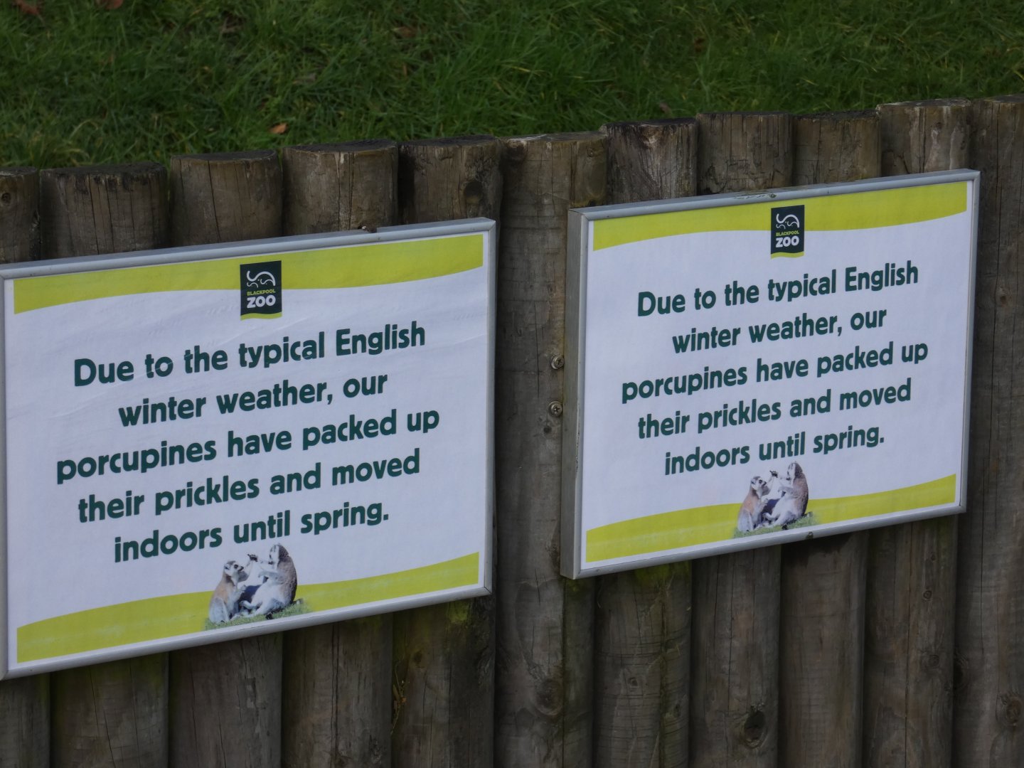 Tree porcupine winter signange